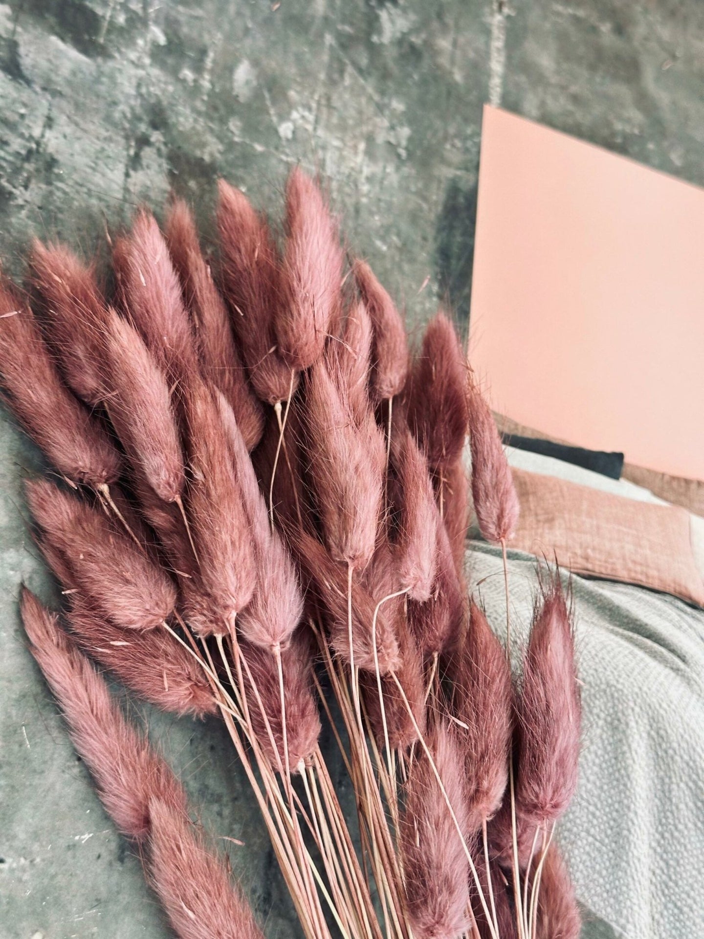 Tørret blomster – Rose - VIAMAJA.DK