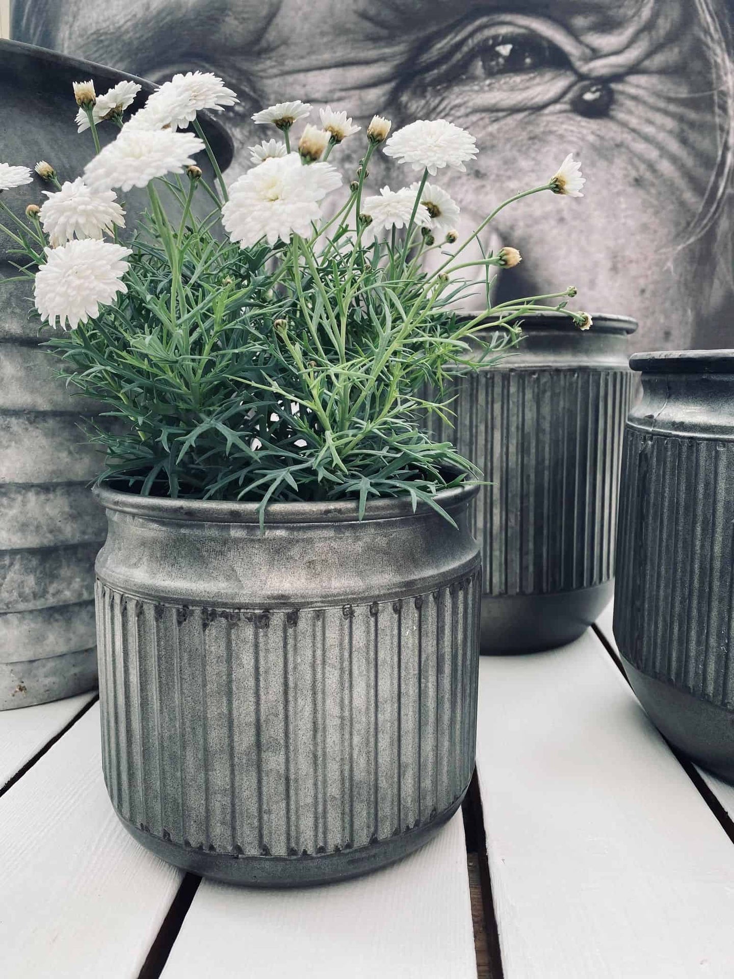 Zink potte med riller – Lille - VIAMAJA.DK