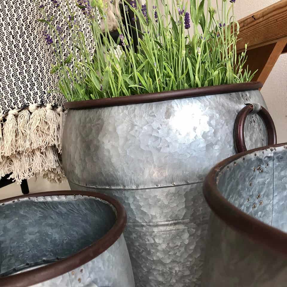 Zinkspande til blomster eller opbevaring - Mellem - VIAMAJA
