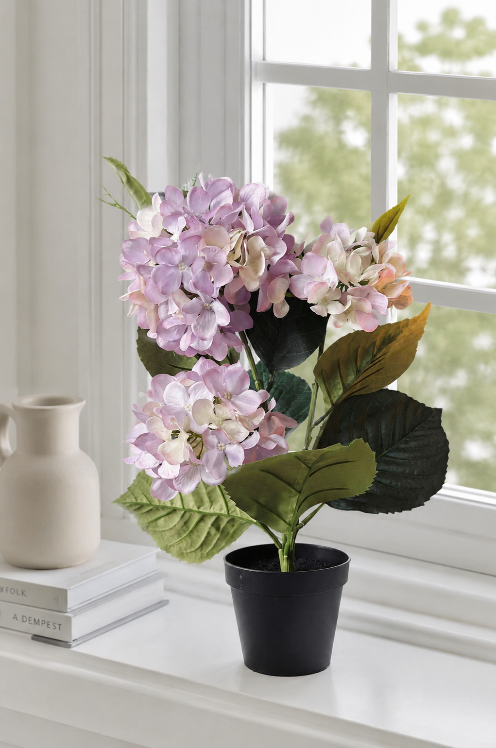 Hortensia i kruka - Syren