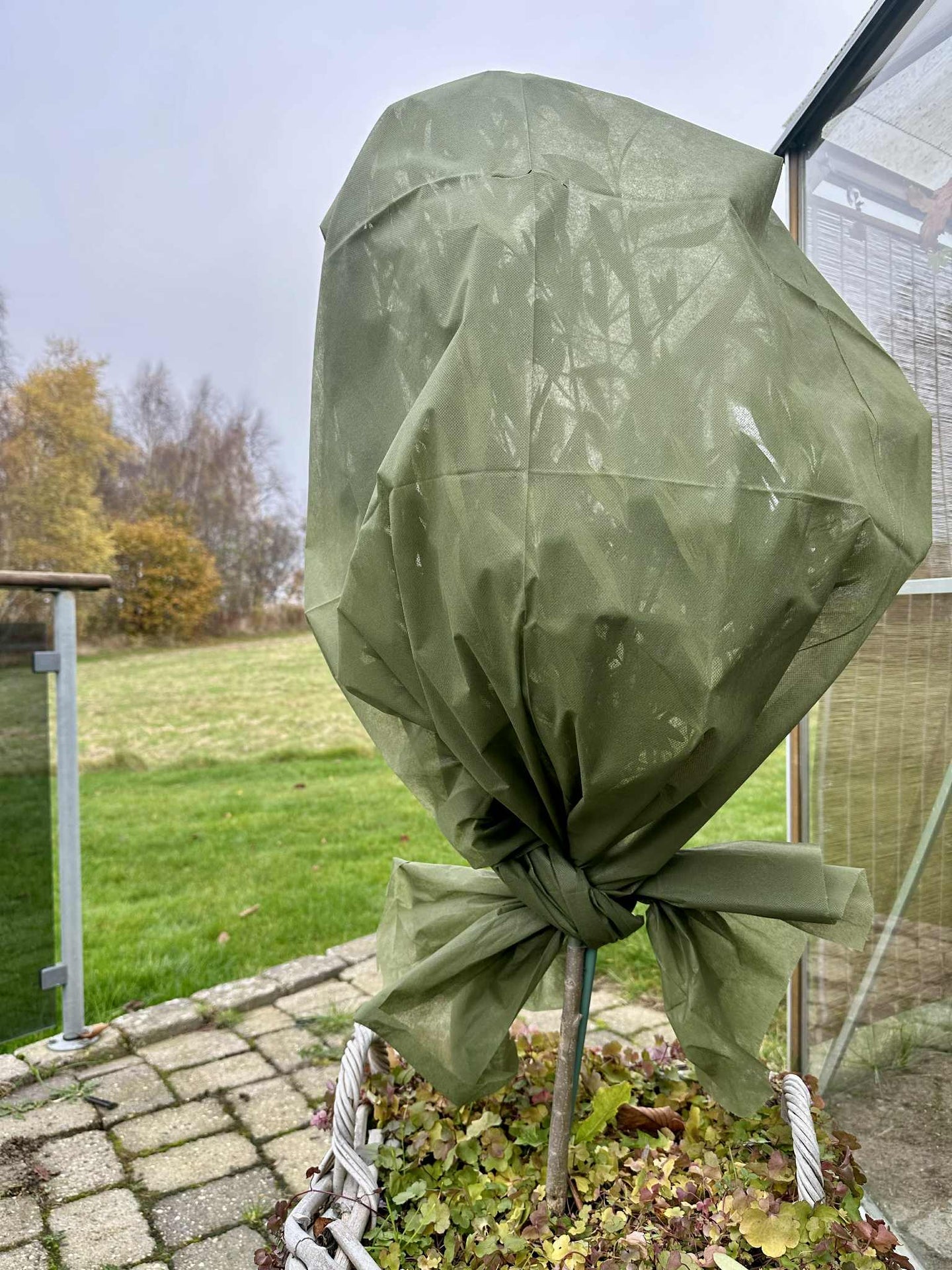 Växtskydd - 10 meter