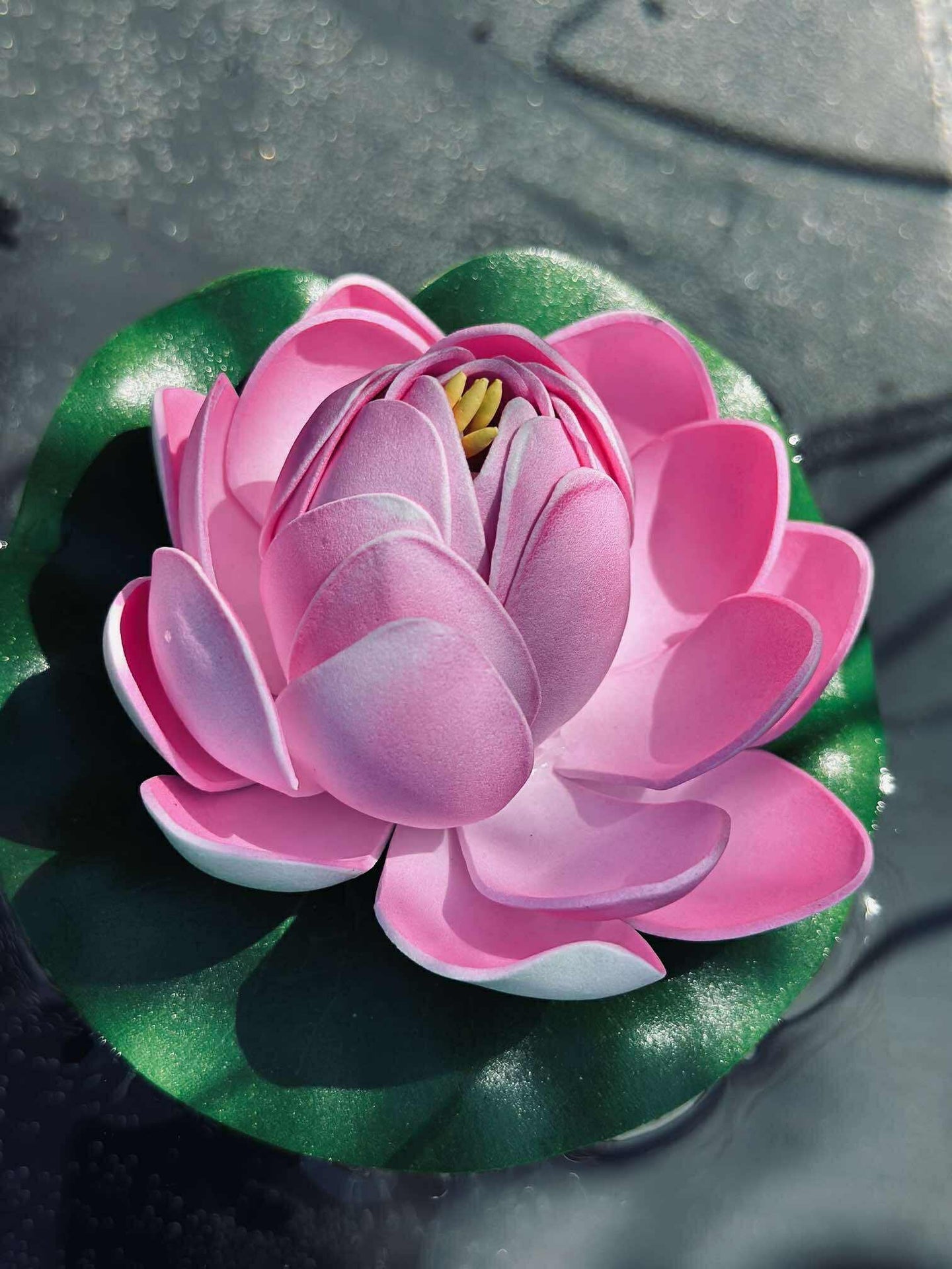 Lotus - Flera färger