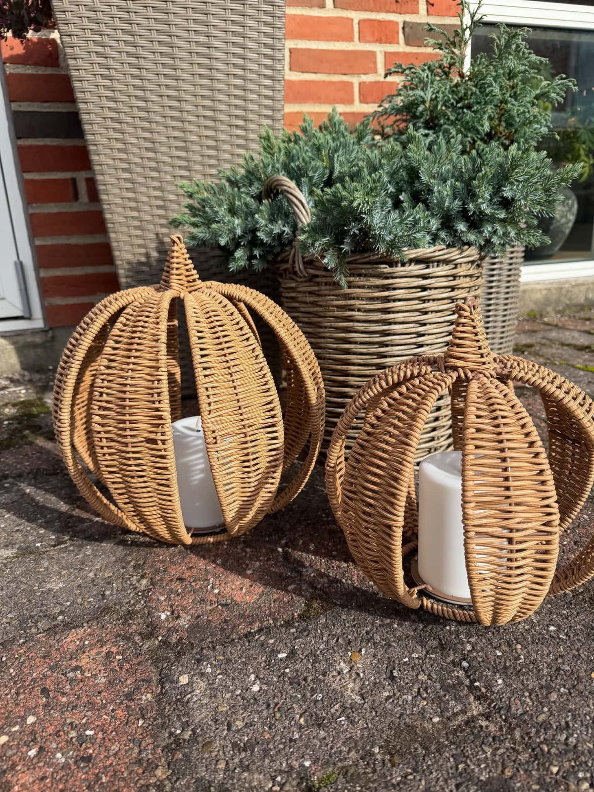 Græskar med solar