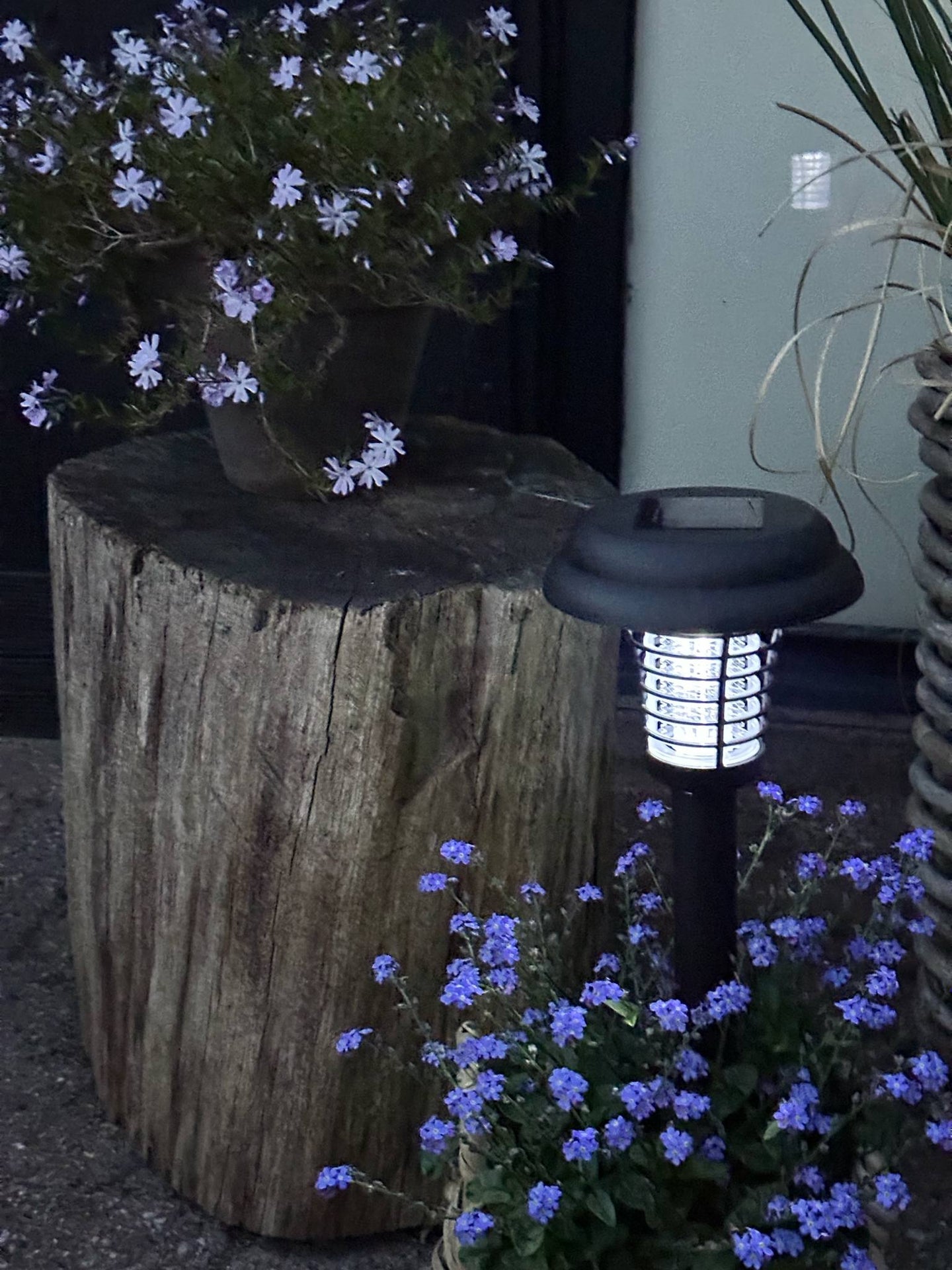 Fackla MOSQUITO 2IN1 SOLAR