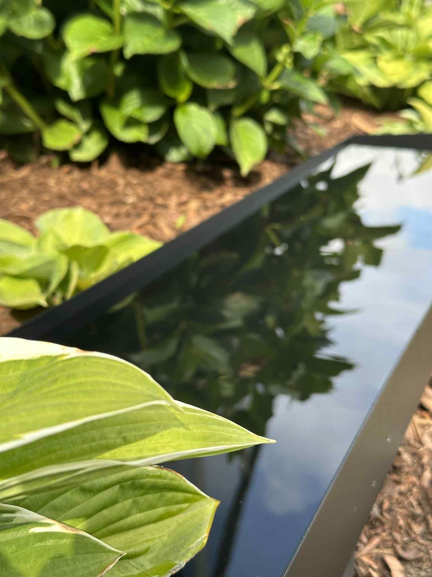 Spegelbassäng Rektangel - Svart