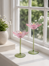 Ljusstake blomma - Rosa