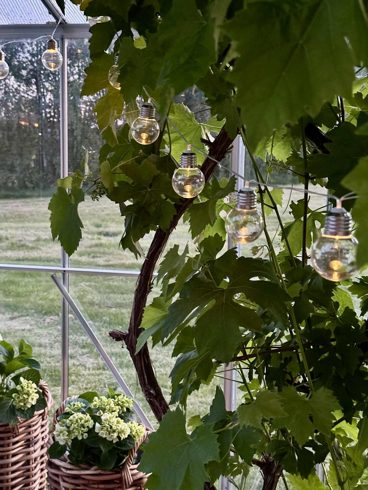 Ljusslinga Laura med solceller - Utomhus med 10 och 20 lampor