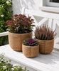 Korgset Rattan - Natur 3 st.