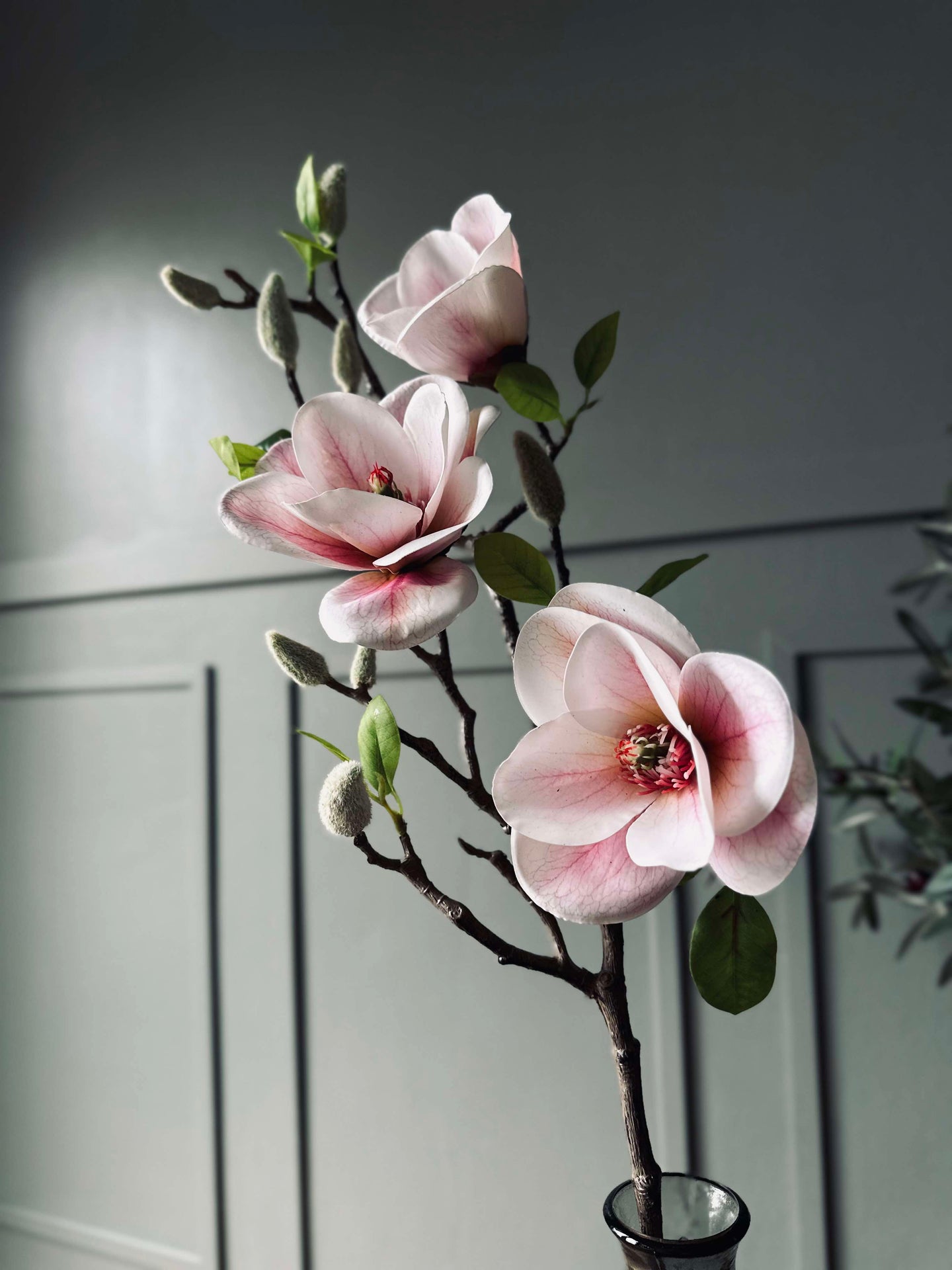 Blomma Magnolia - Rosa