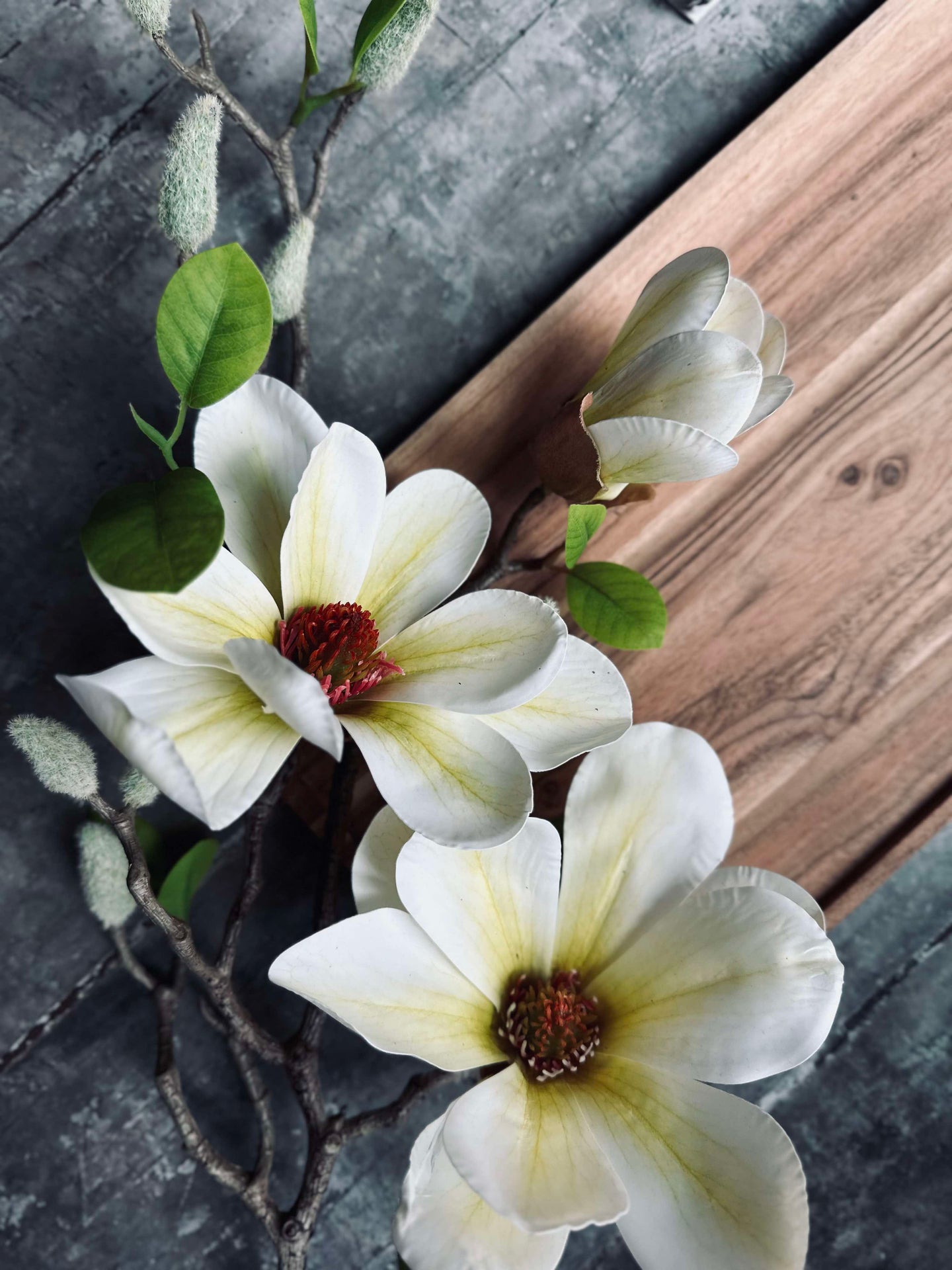 Blomma Magnolia - Vit