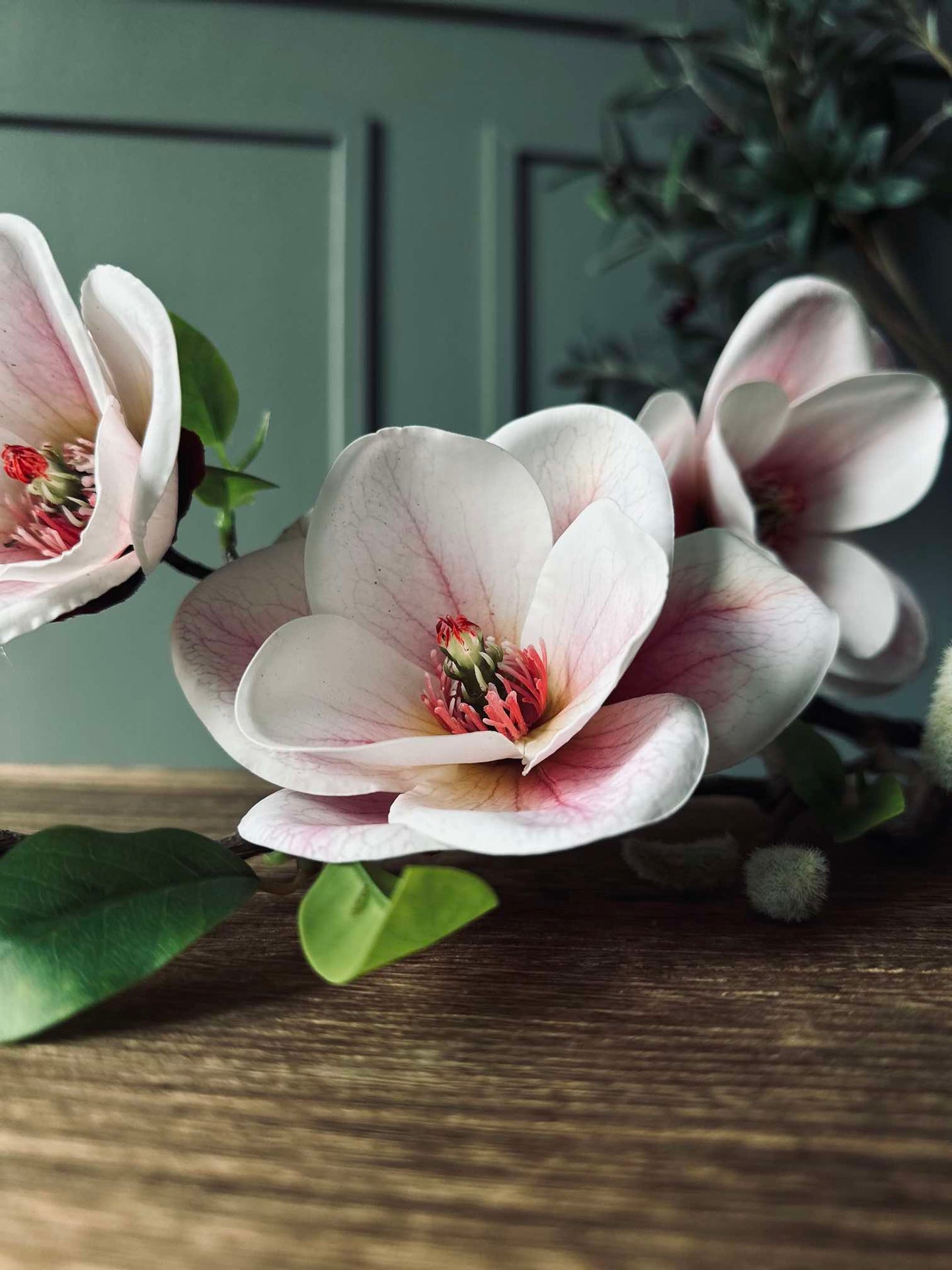 Blomma Magnolia - Rosa