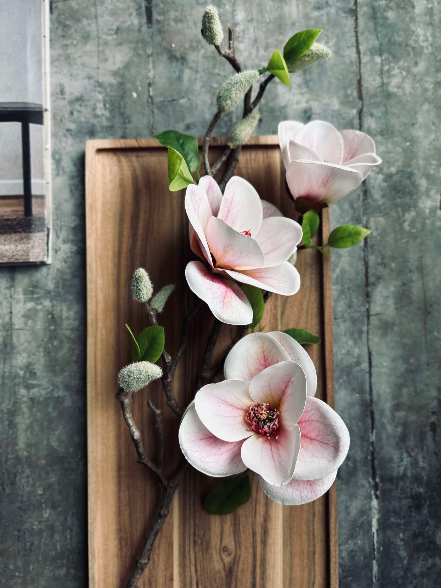 Blomma Magnolia - Rosa