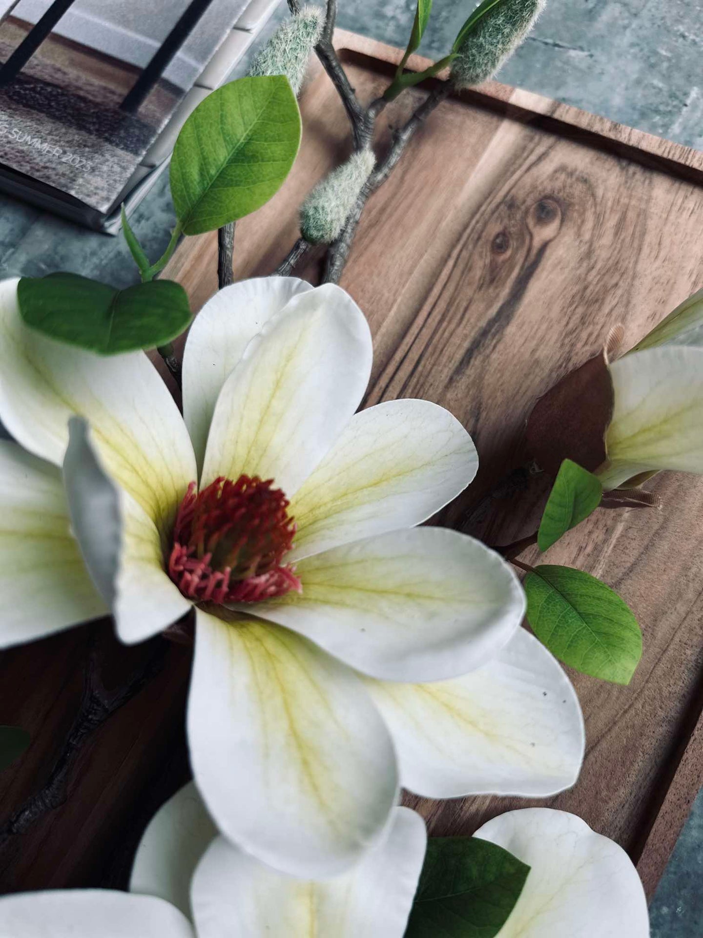 Blomma Magnolia - Vit