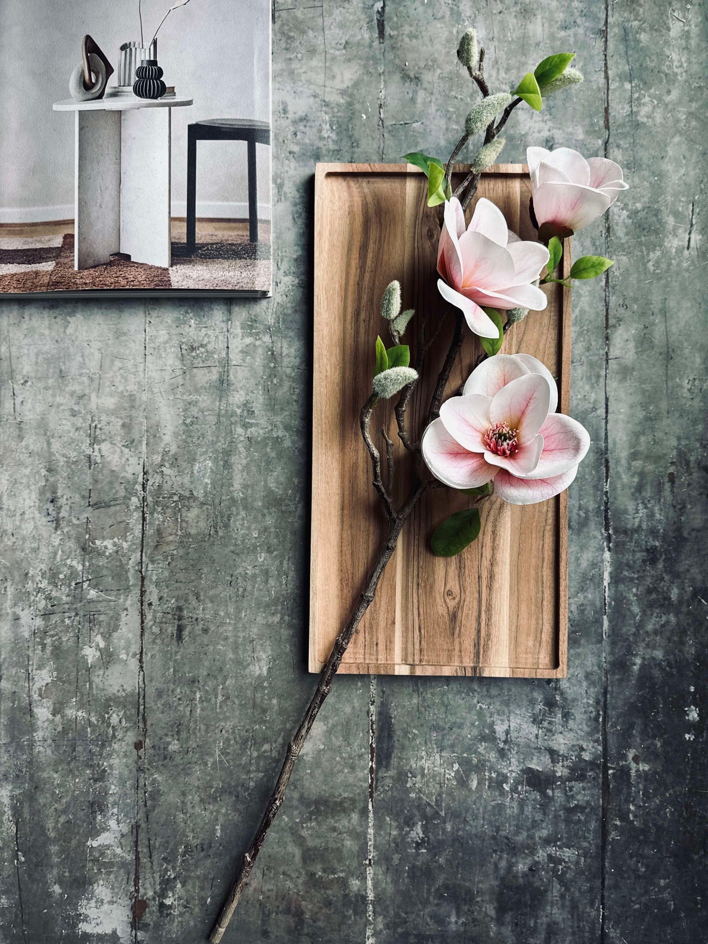 Blomma Magnolia - Rosa