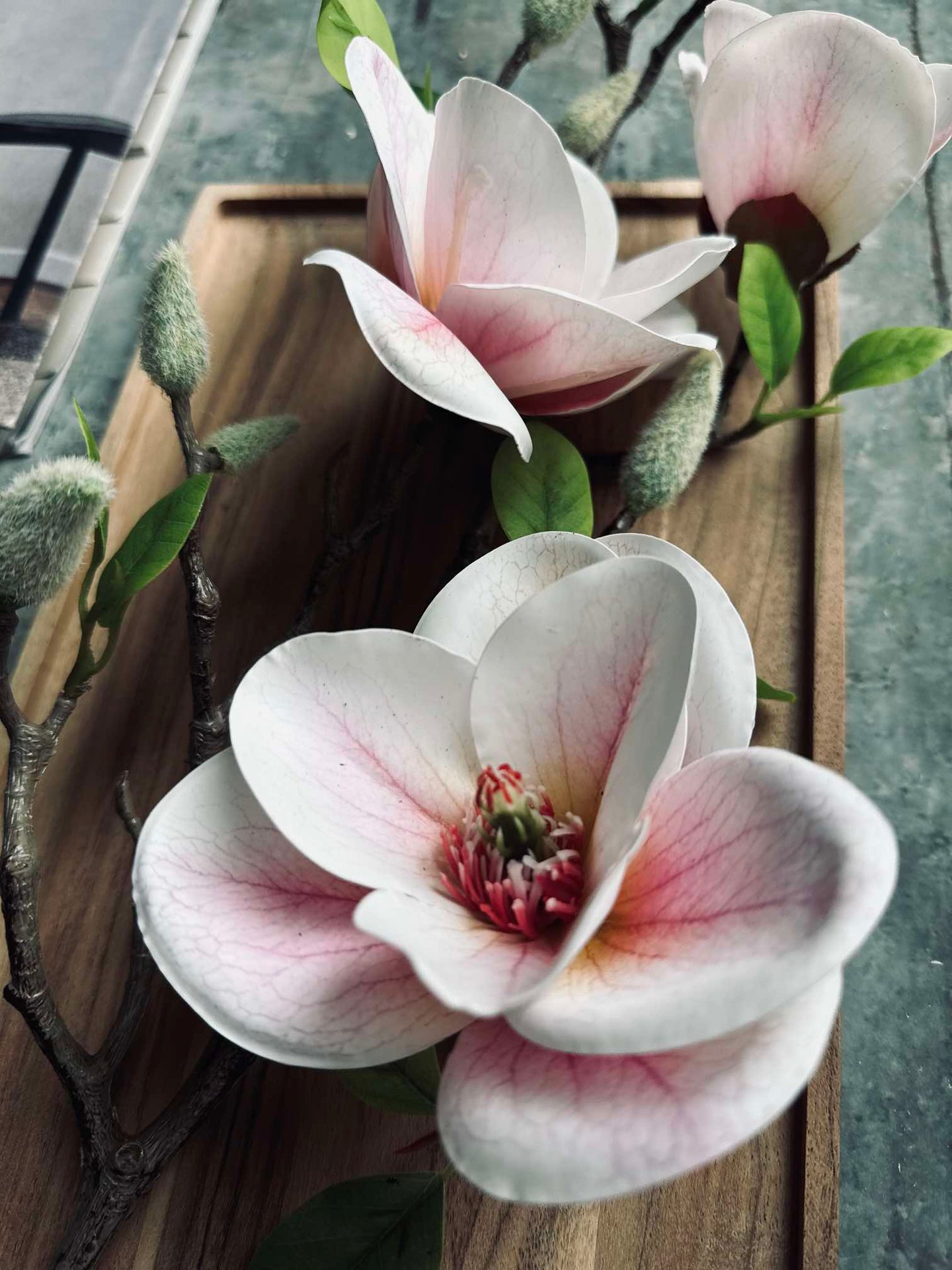 Blomma Magnolia - Rosa