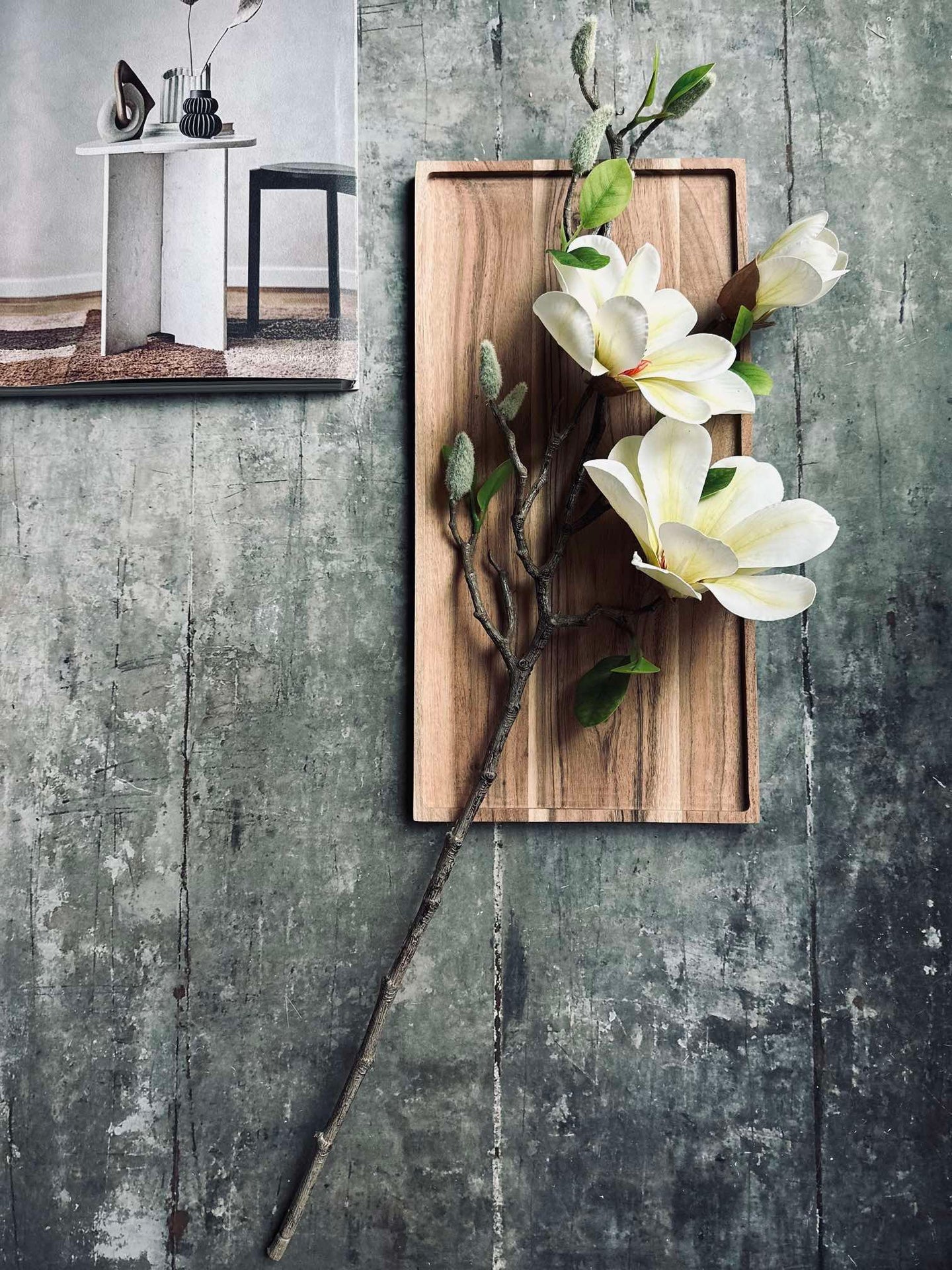 Blomma Magnolia - Vit