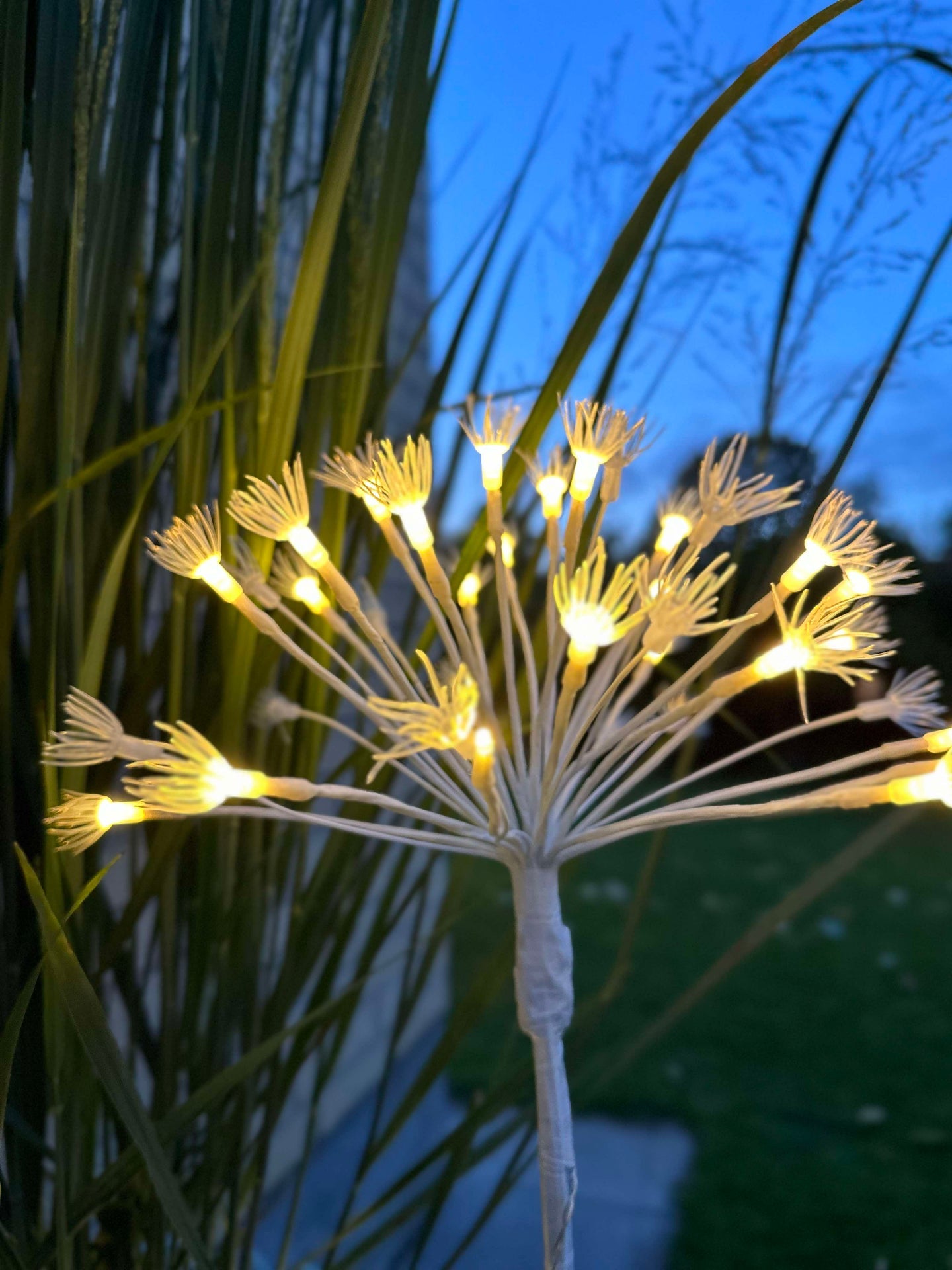LED-stjärnor på spett