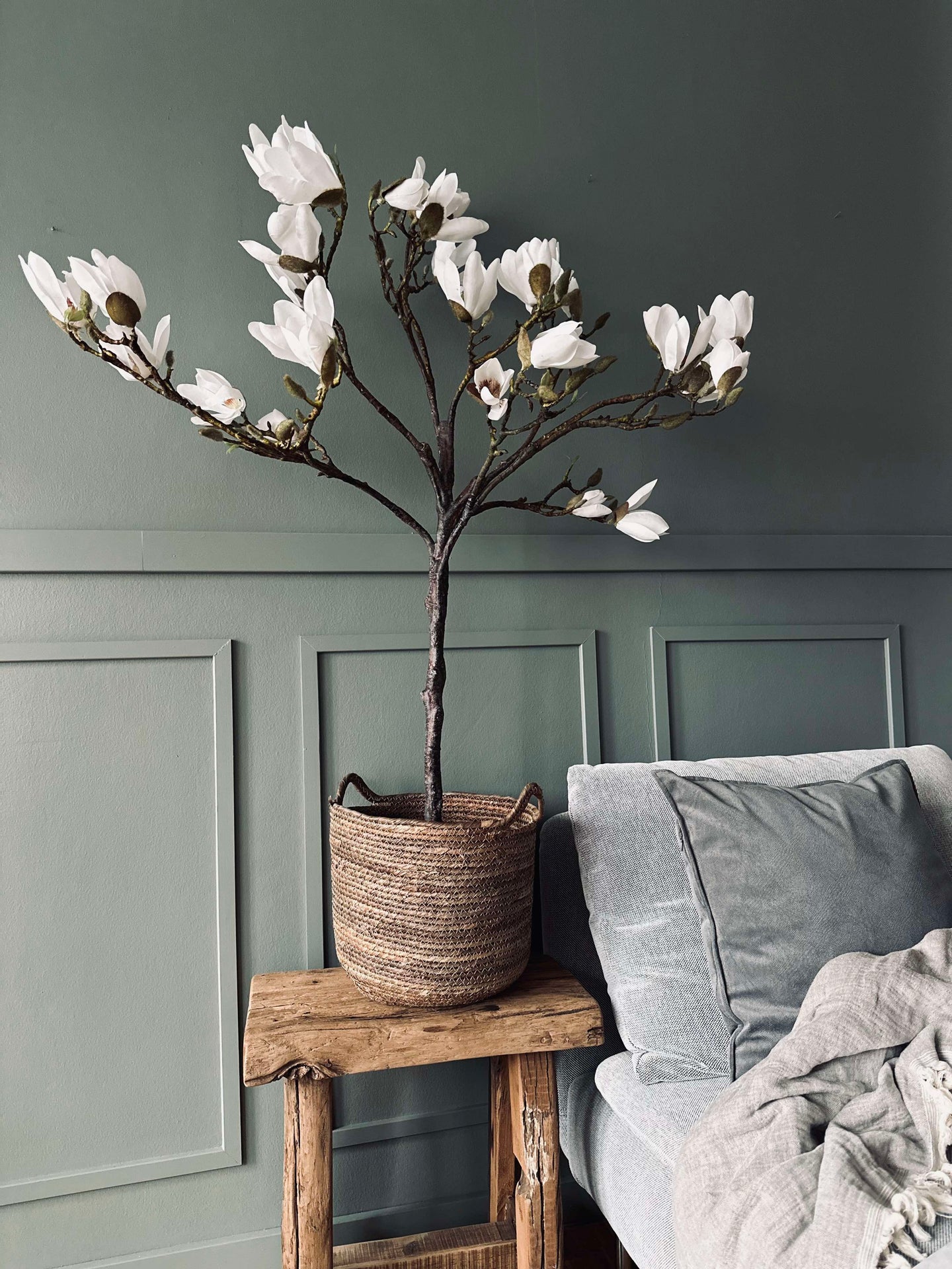Magnoliaträd i kruka - 120 cm Vit