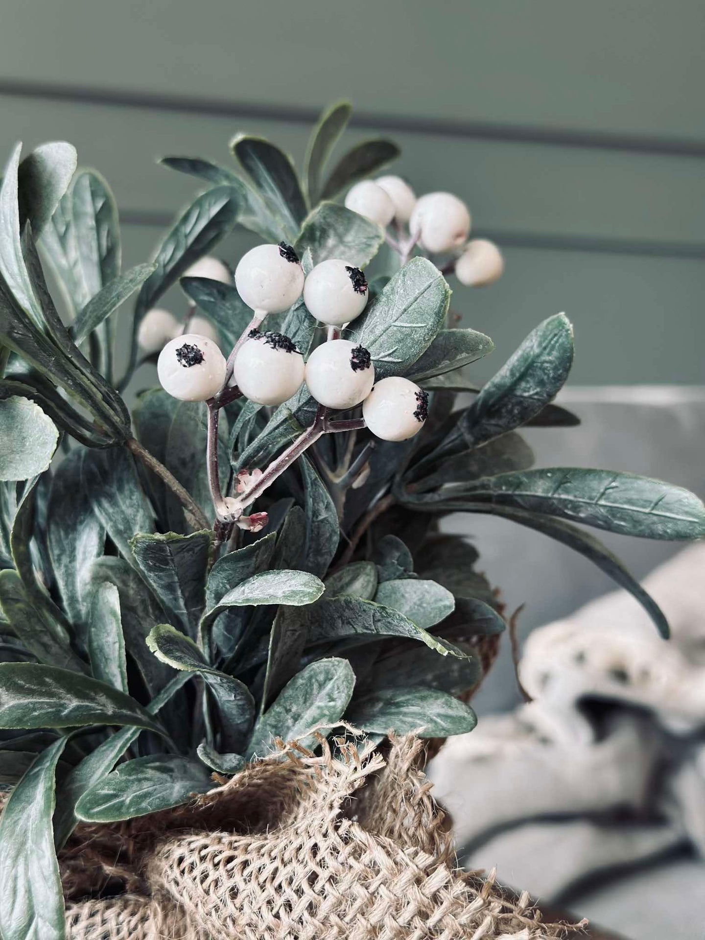Blomma med snöbär