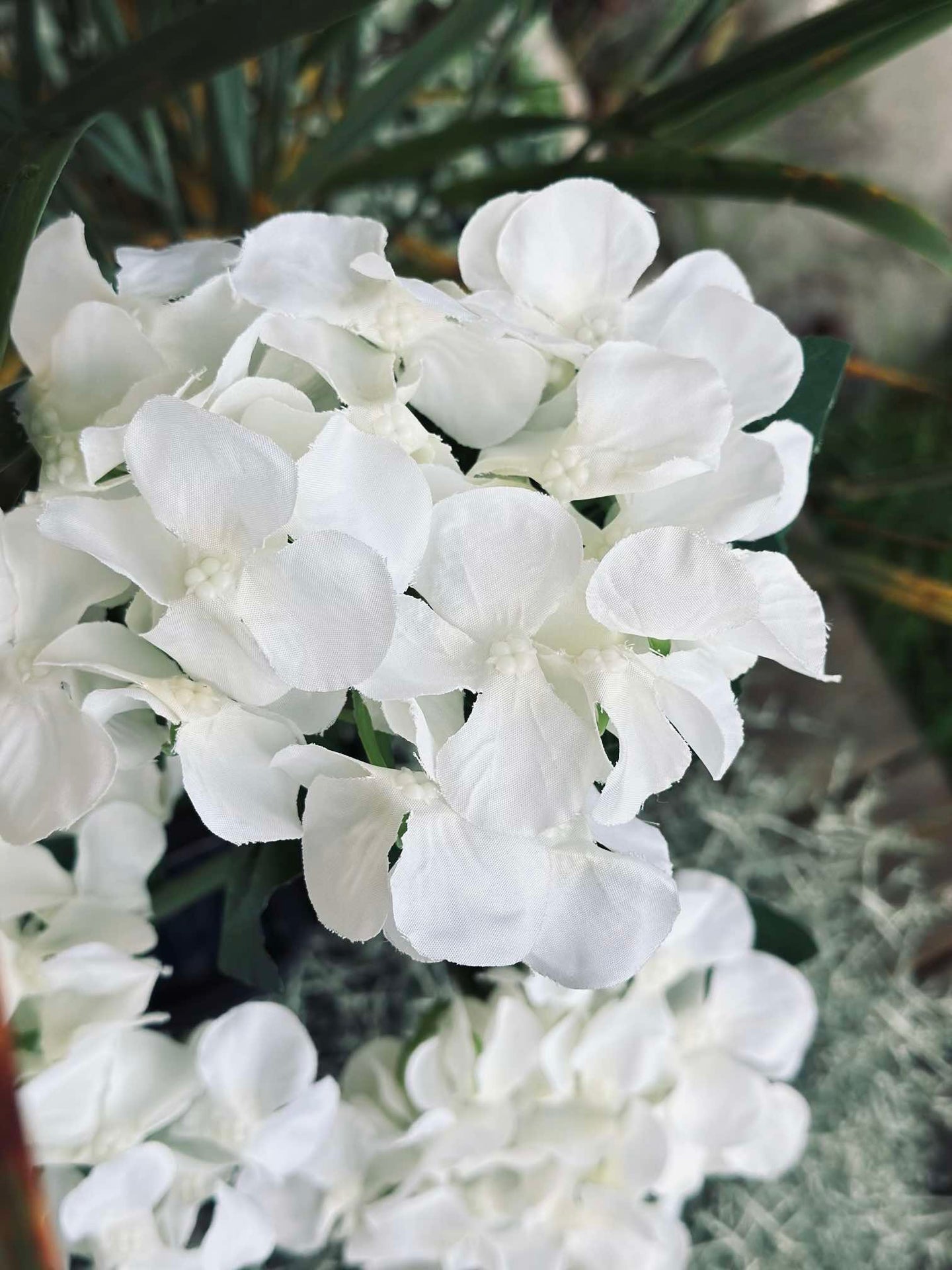 Hortensia med solceller - Vit