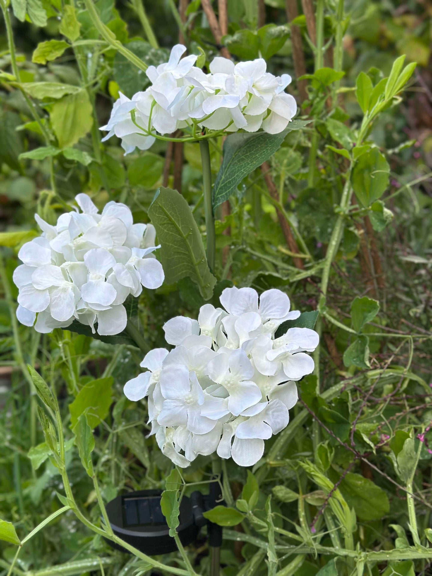 Hortensia med solceller - Vit