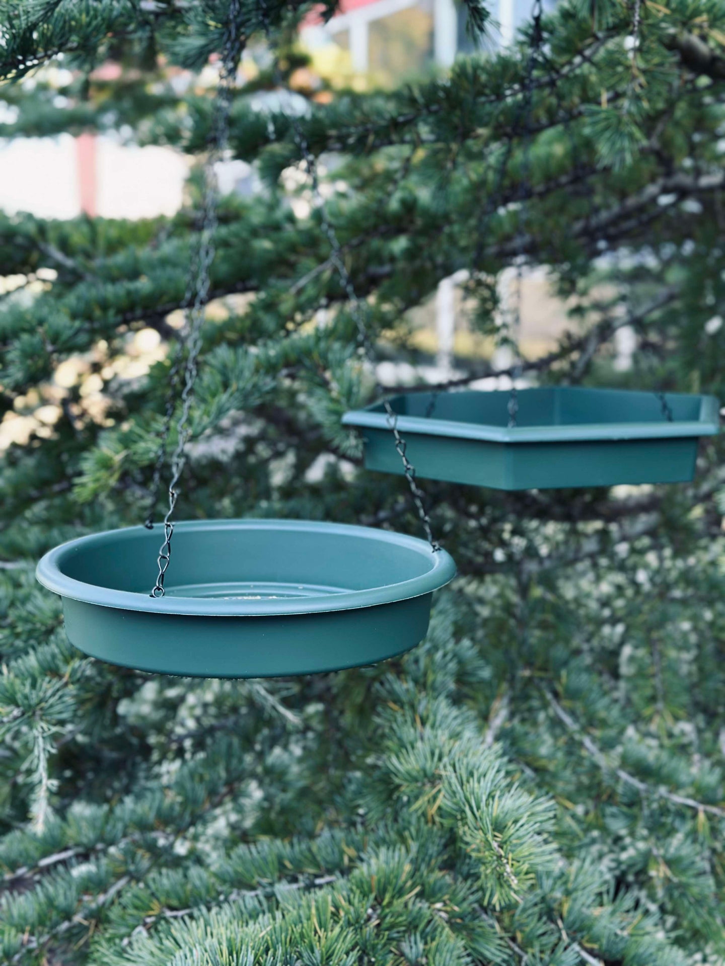 Set med fågelbad och fågelbord