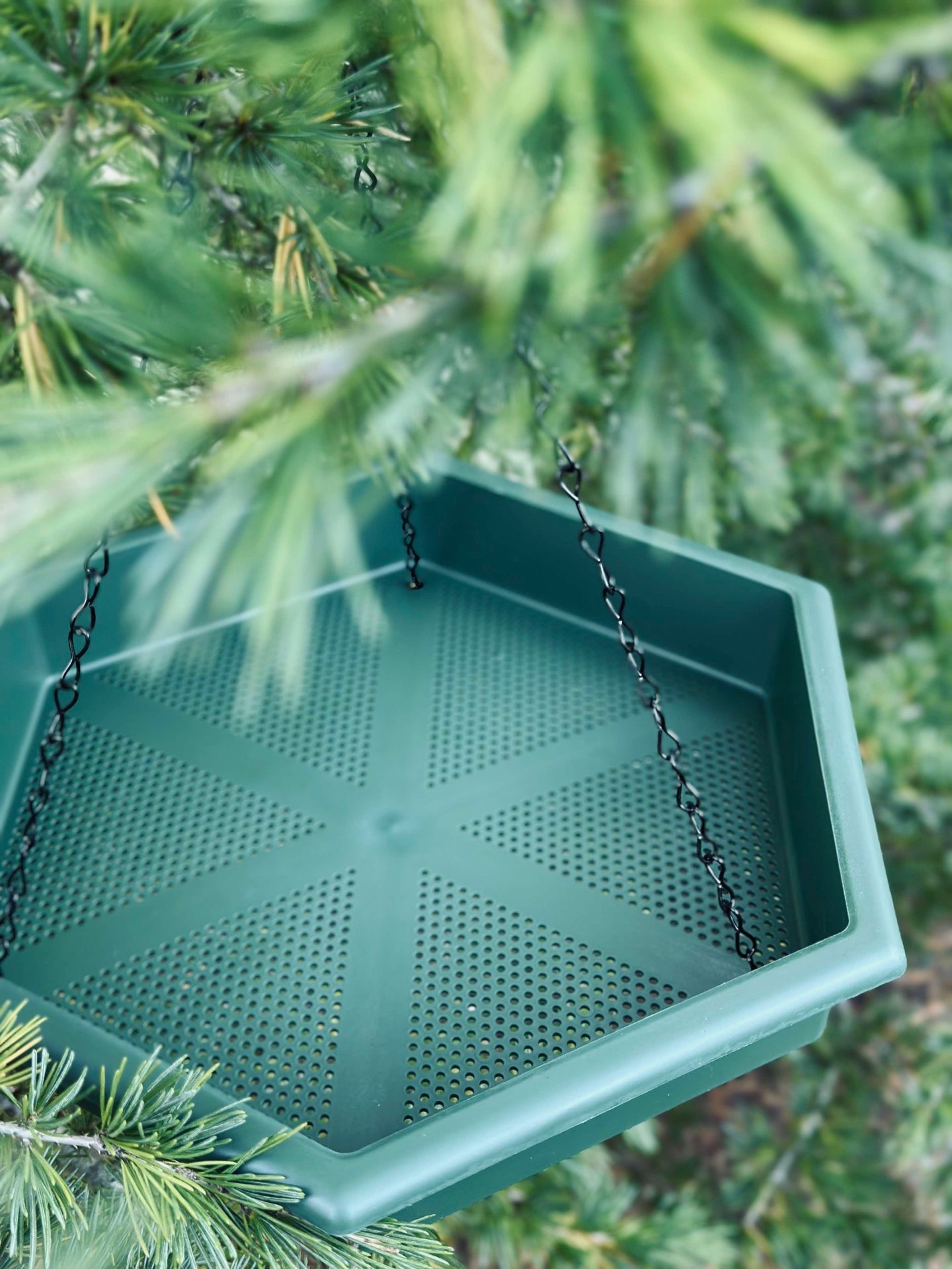 Set med fågelbad och fågelbord