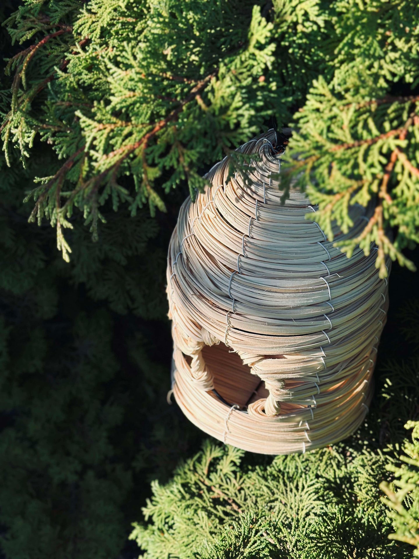Fågelhus Nature