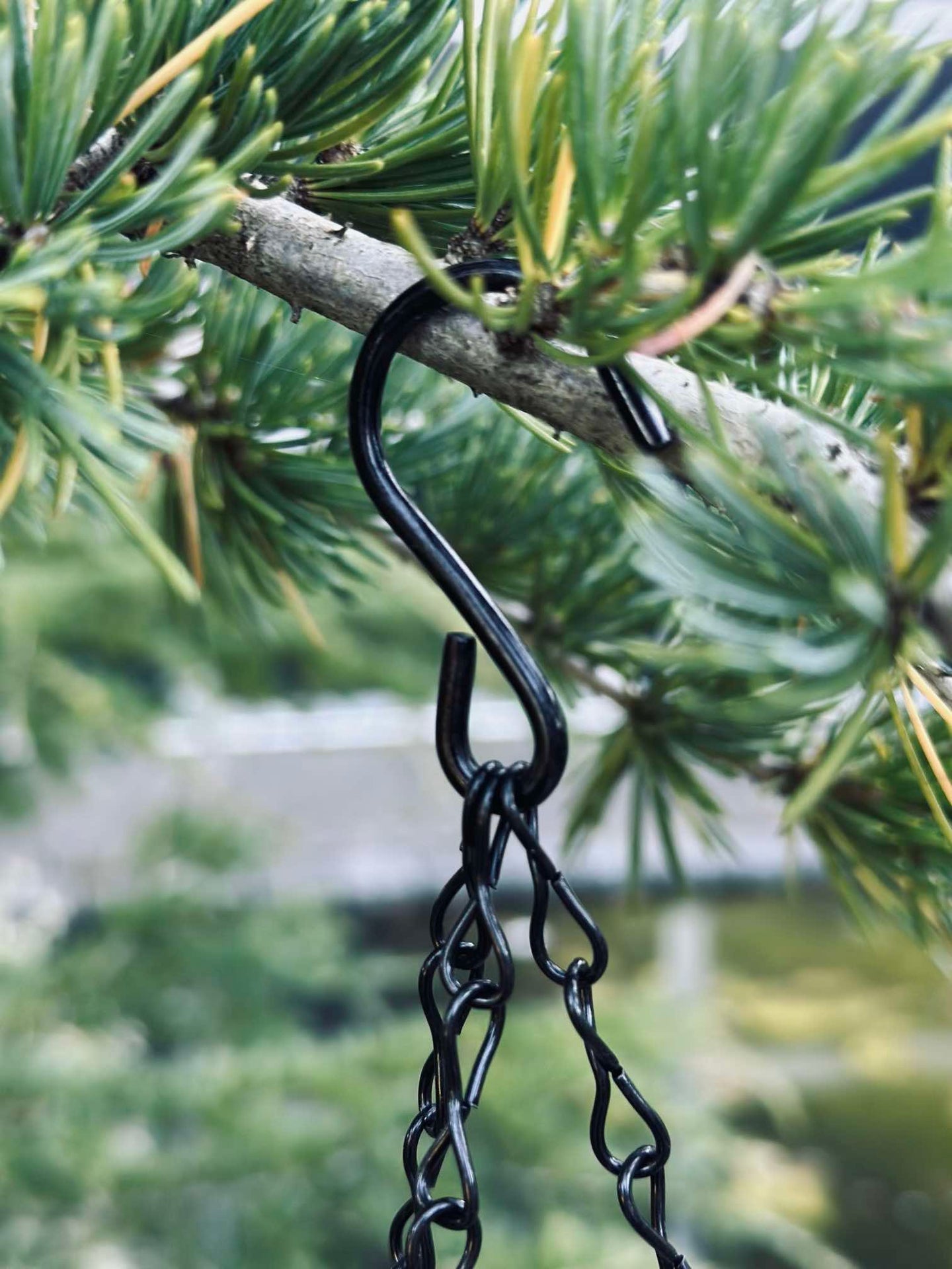 Set med fågelbad och fågelbord