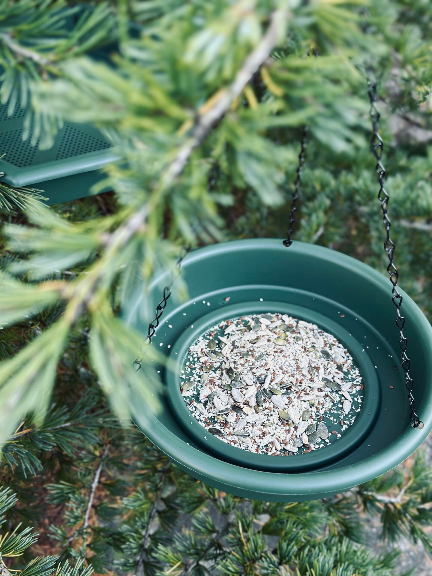 Set med fågelbad och fågelbord