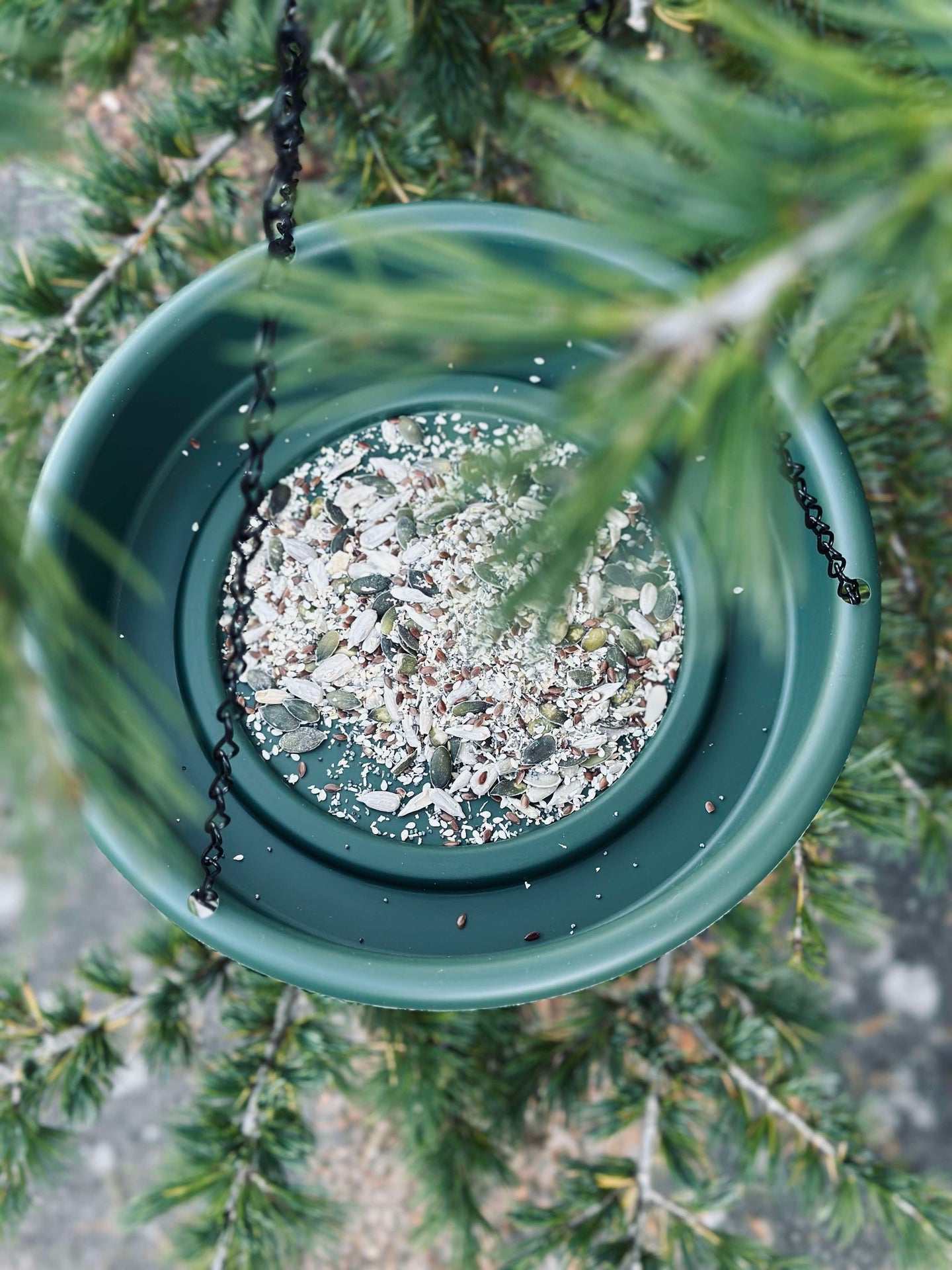 Set med fågelbad och fågelbord