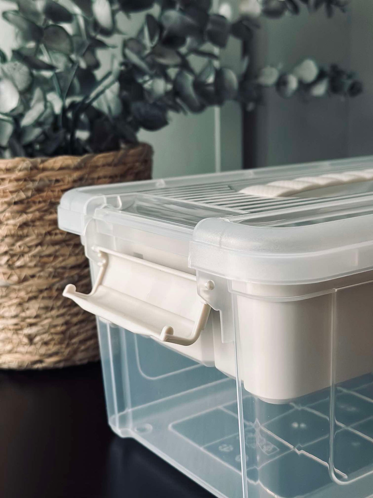 Förvaringslåda - Transparent