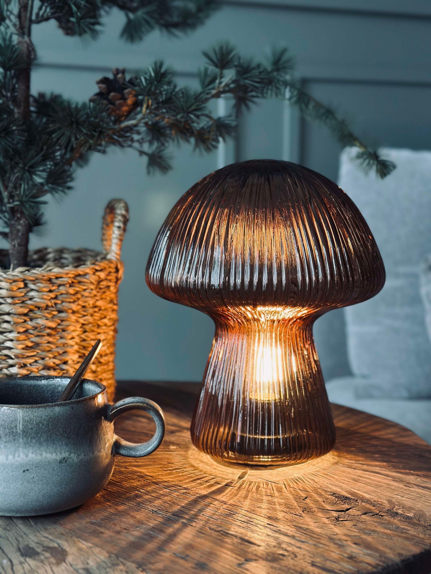 Svamp med räfflor - Brun