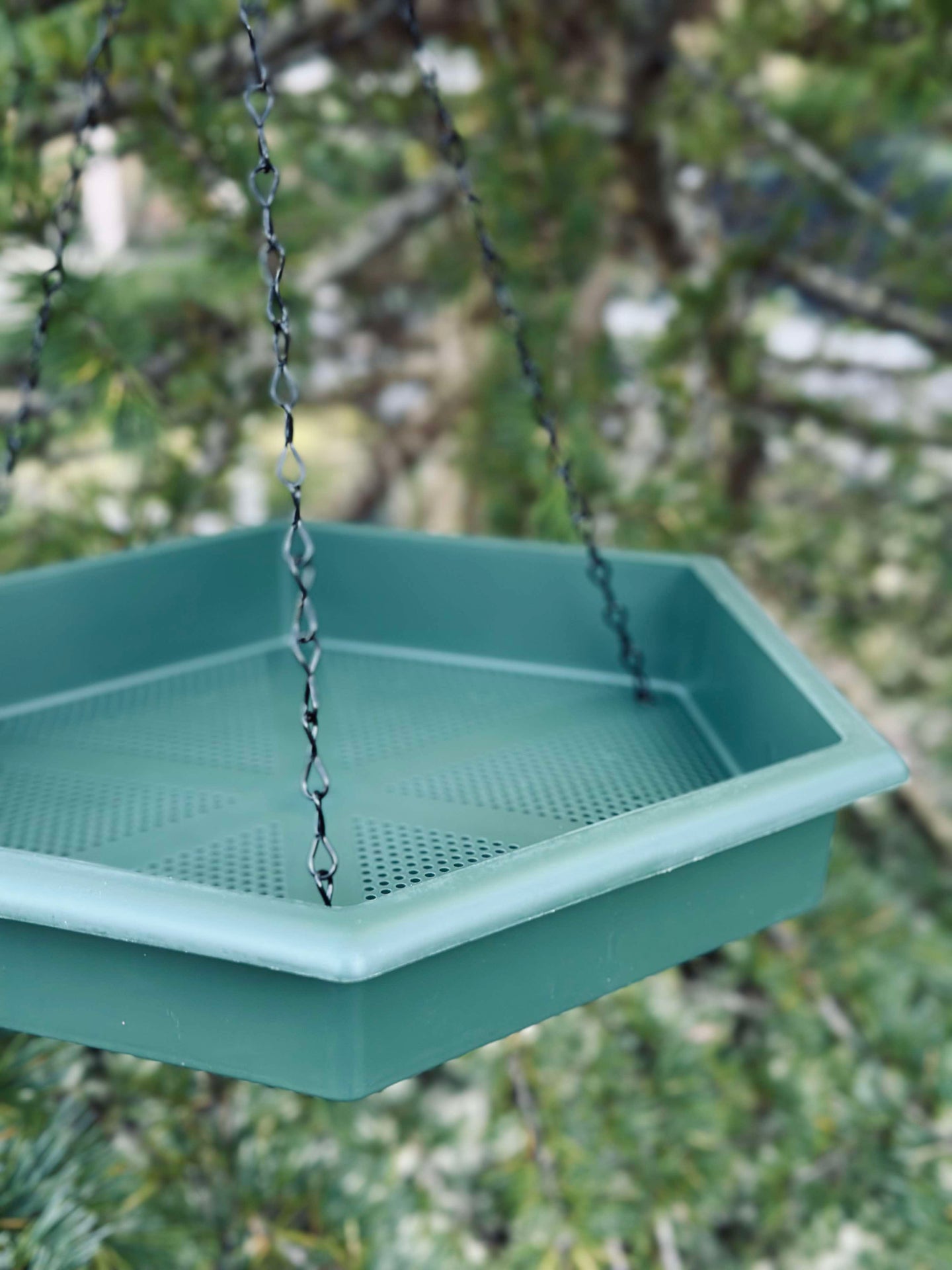 Set med fågelbad och fågelbord