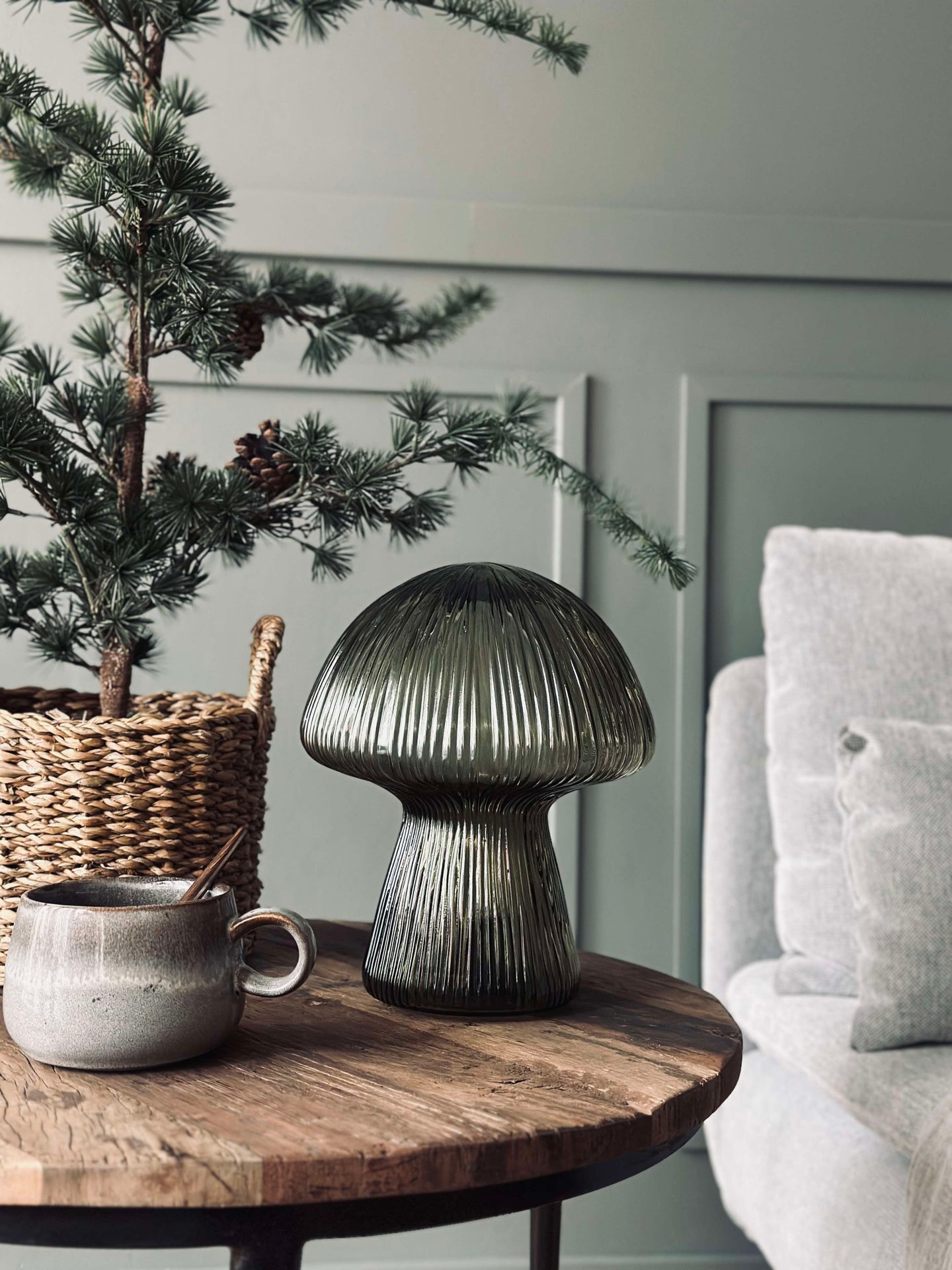 Svamp med räfflor - Grön