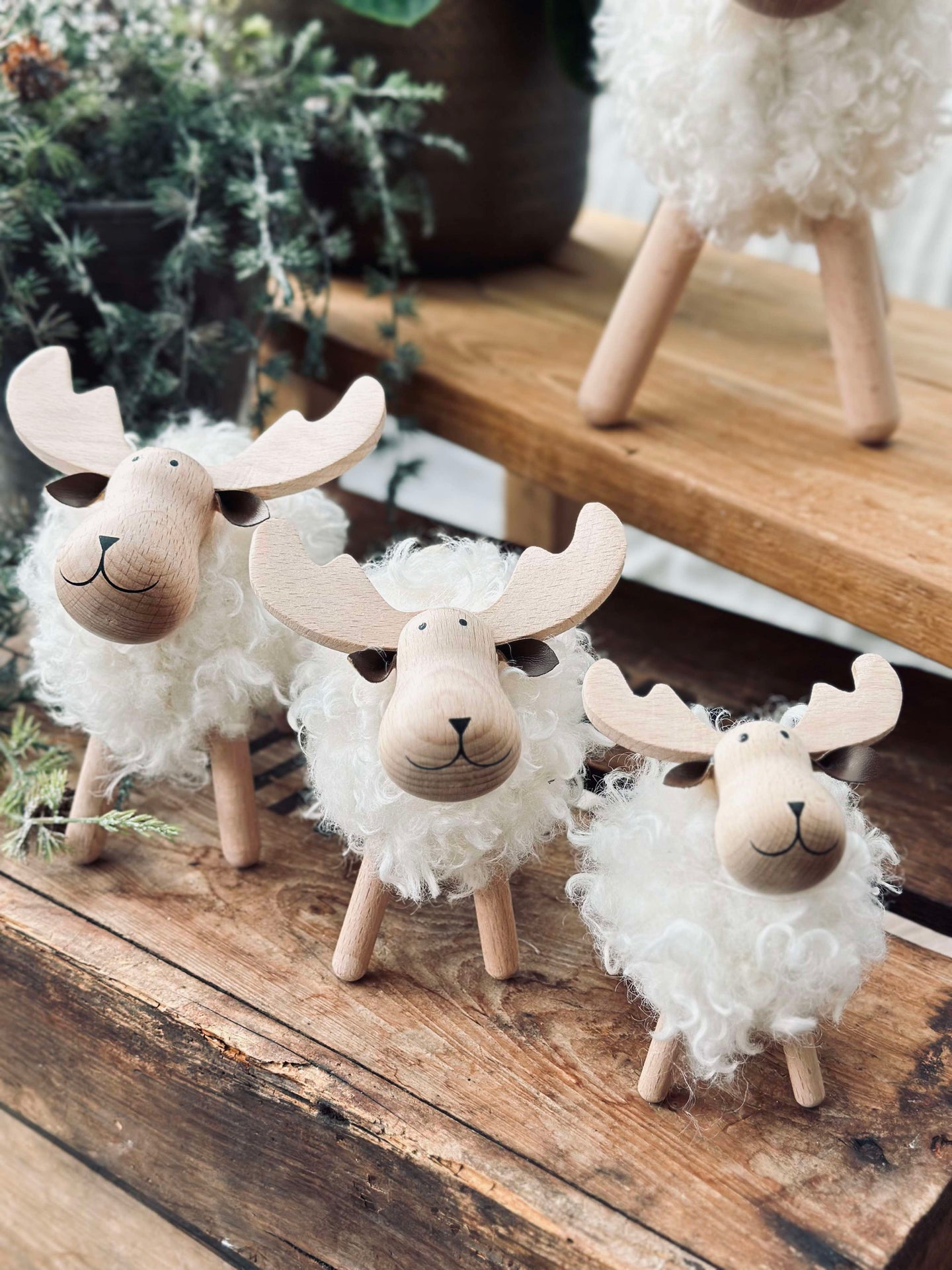 Älg vit - Medium