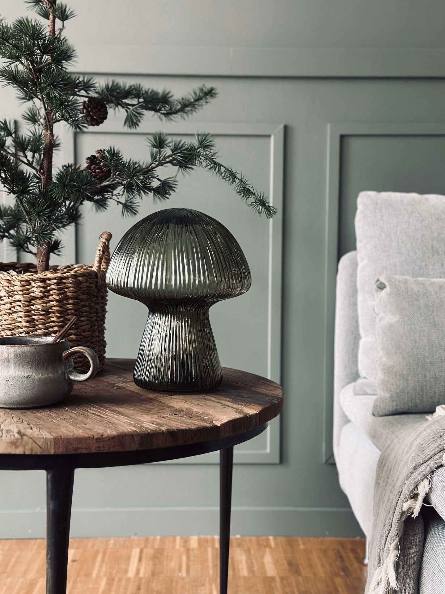 Svamp med räfflor - Grön