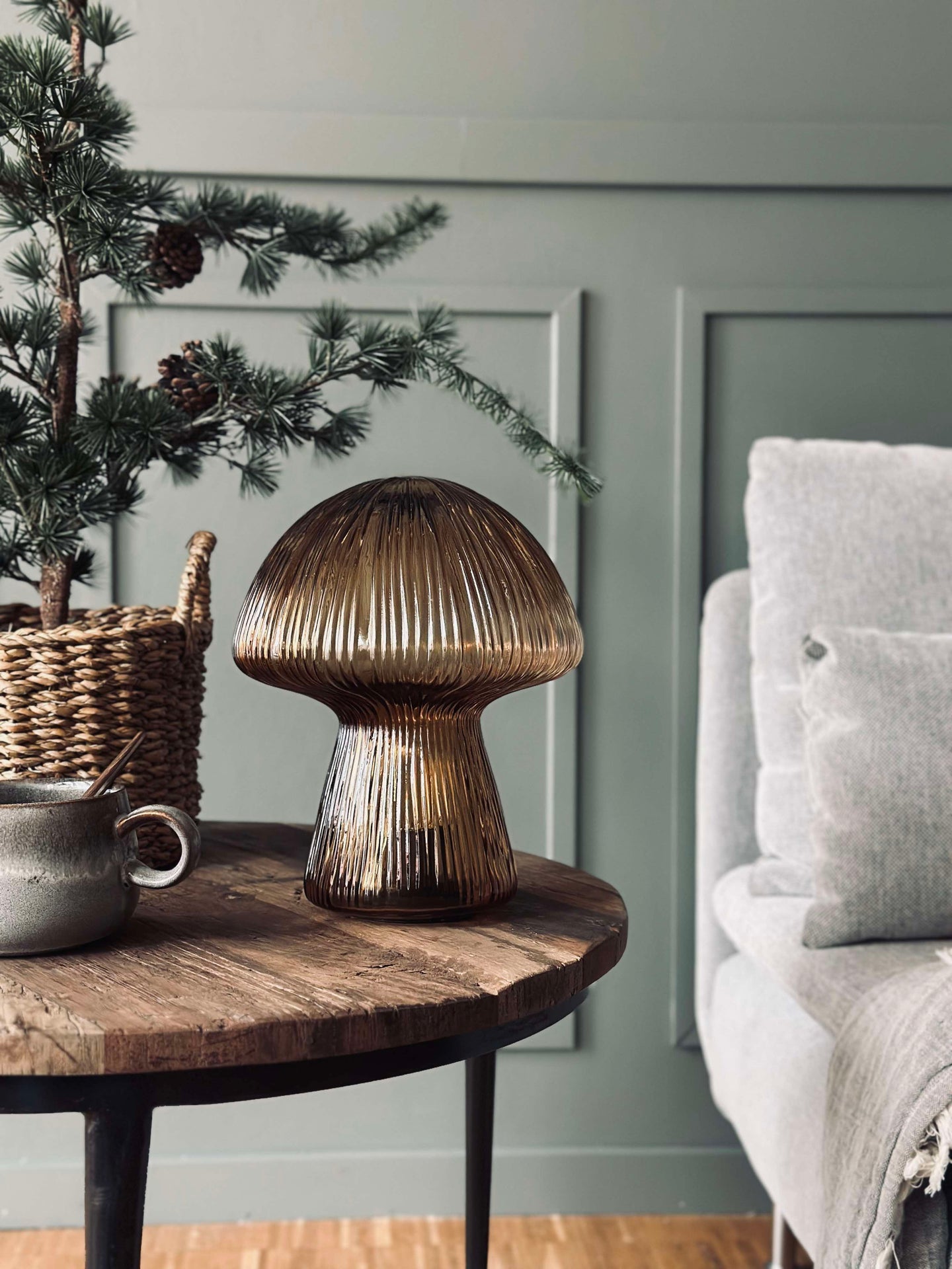 Svamp med räfflor - Gyllene