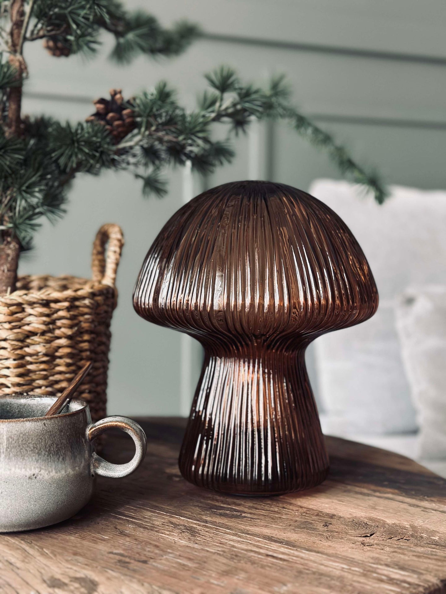Svamp med räfflor - Brun