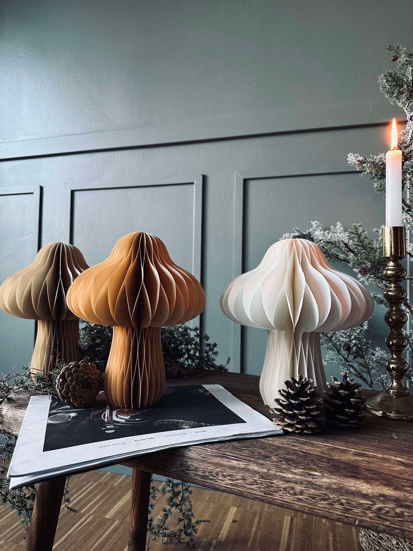 Mushroom No.1 - 1 st Medium