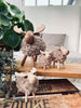 Älg Beige - Large