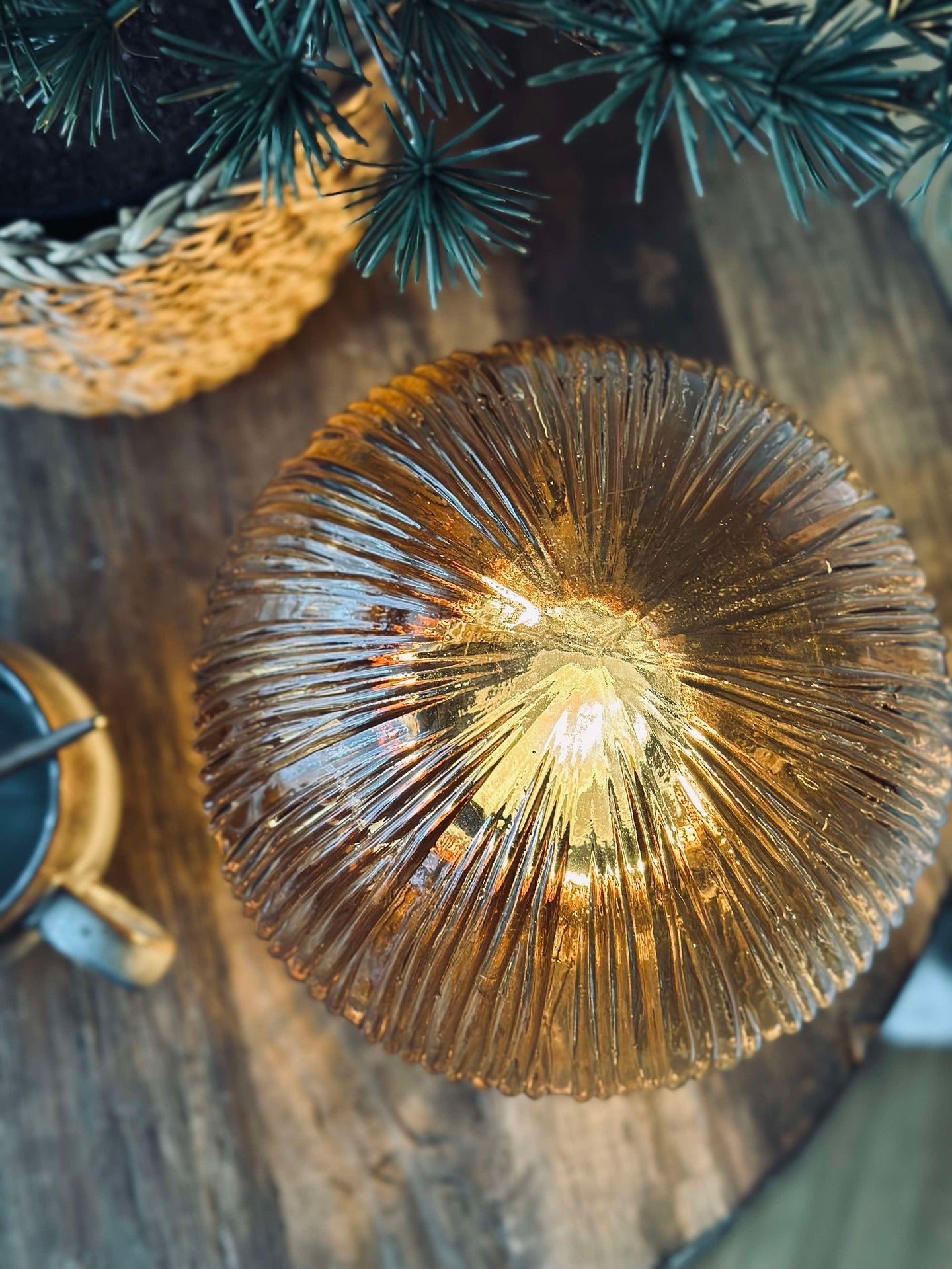 Svamp med räfflor - Gyllene