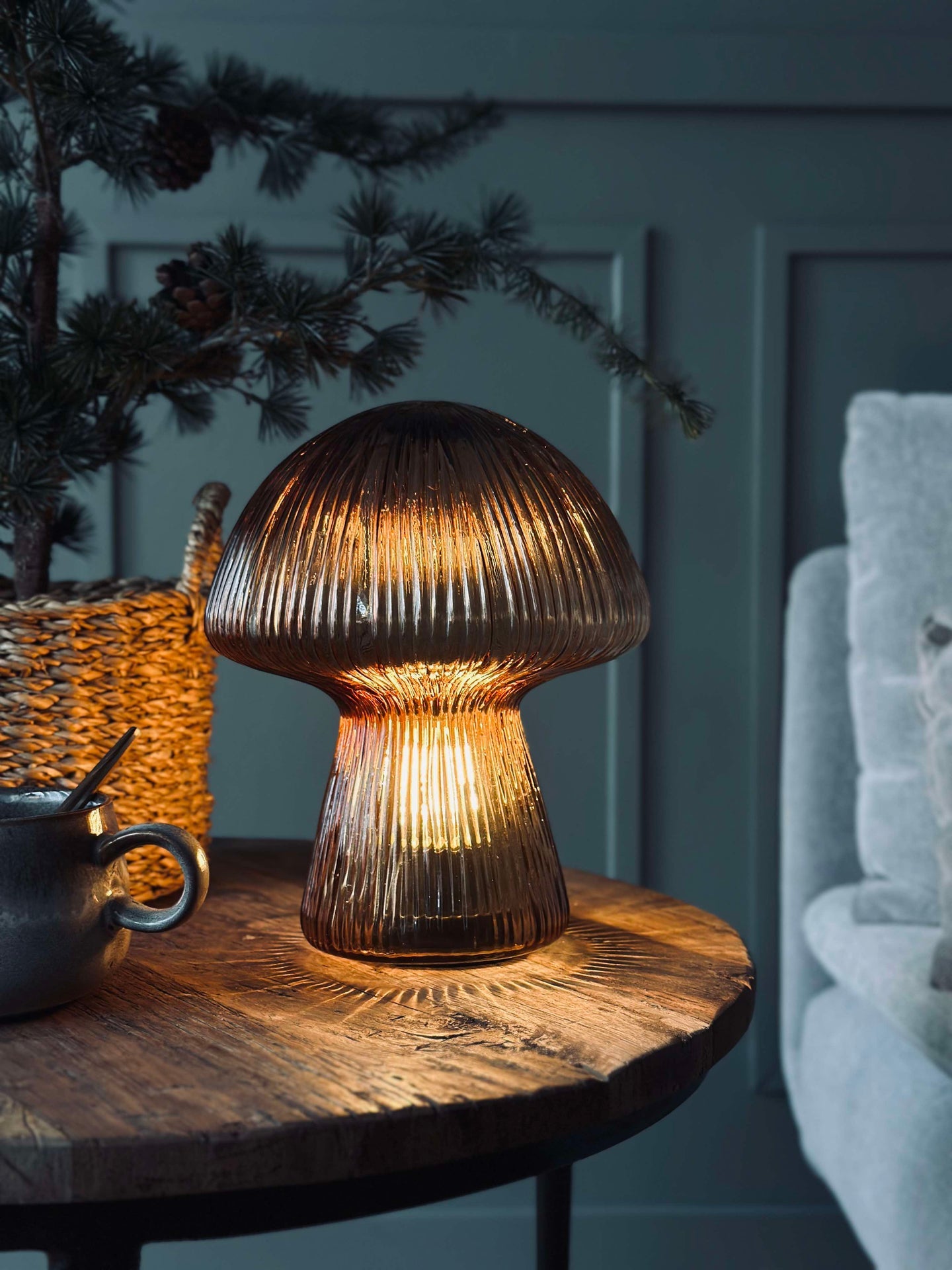 Svamp med räfflor - Gyllene