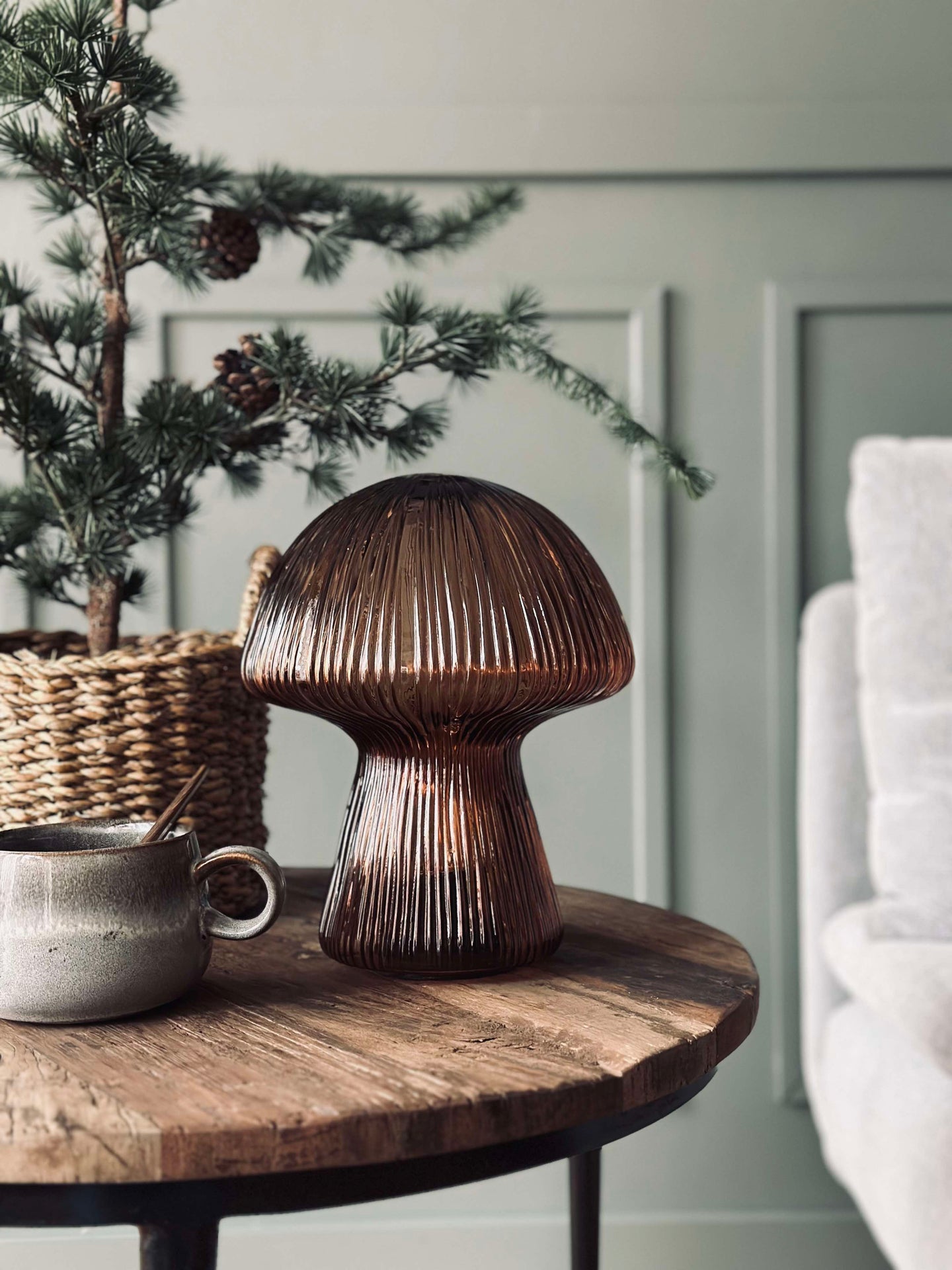 Svamp med räfflor - Brun