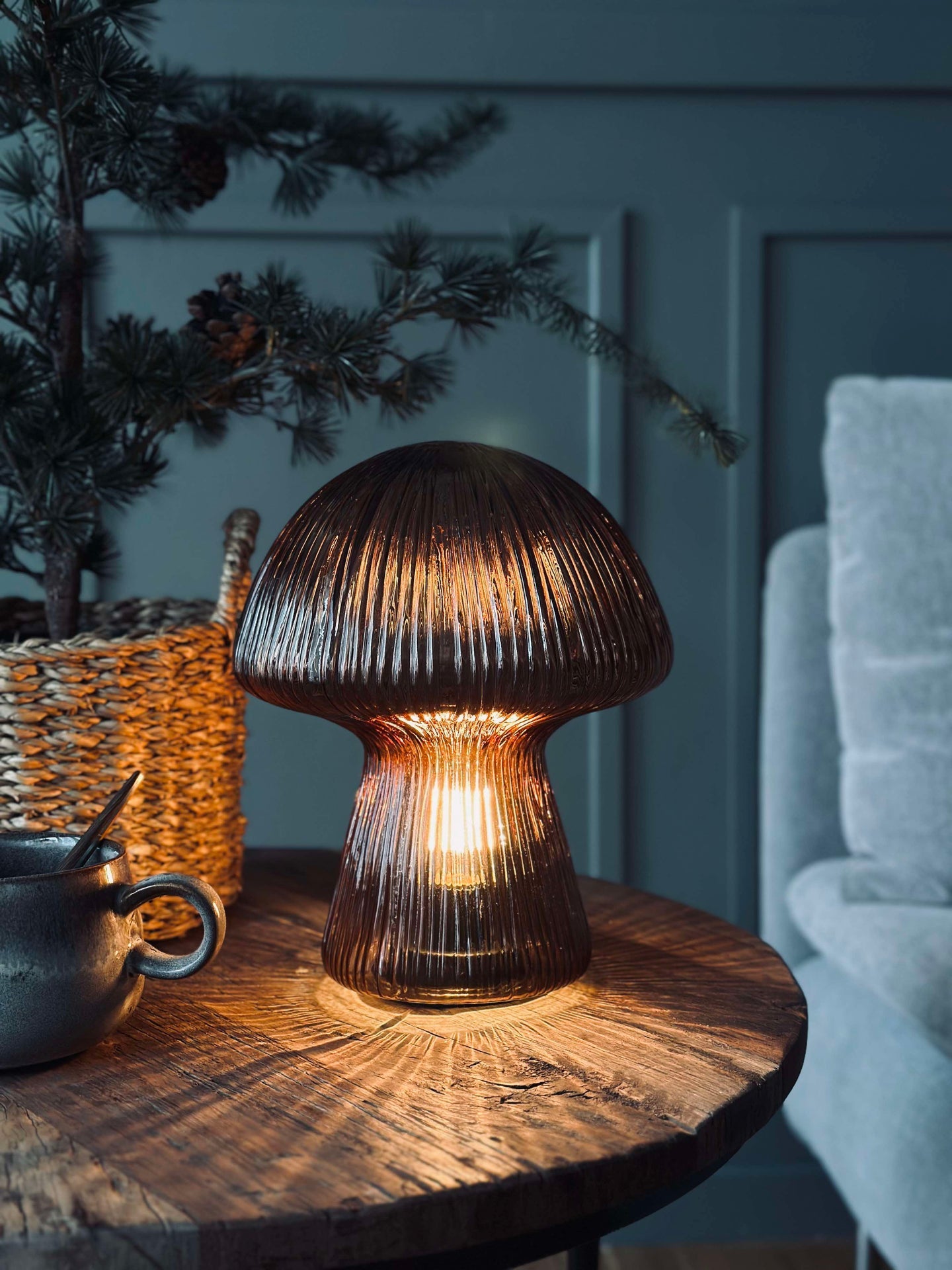 Svamp med räfflor - Brun