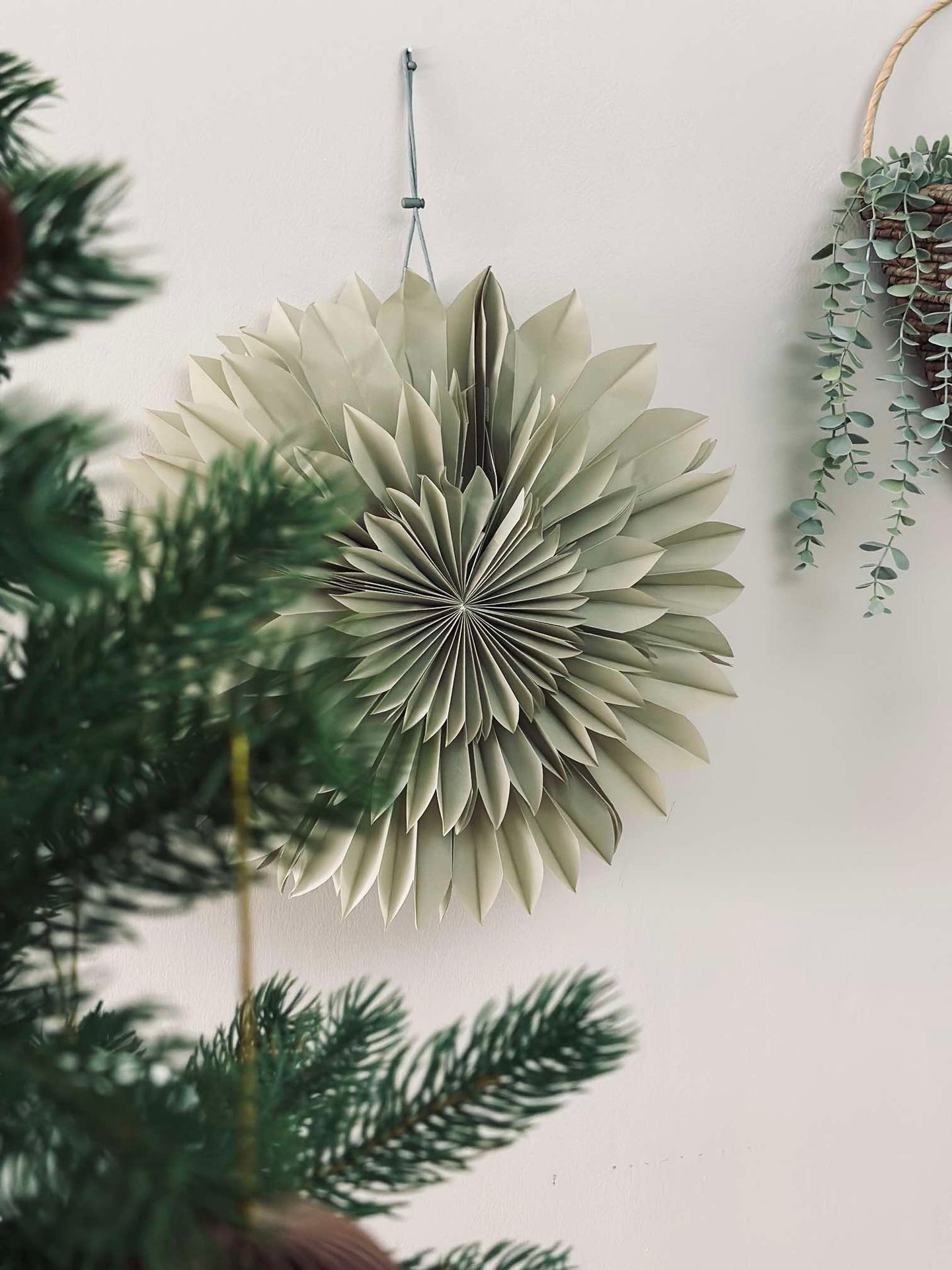 Stjärna Dusty green - 50 cm