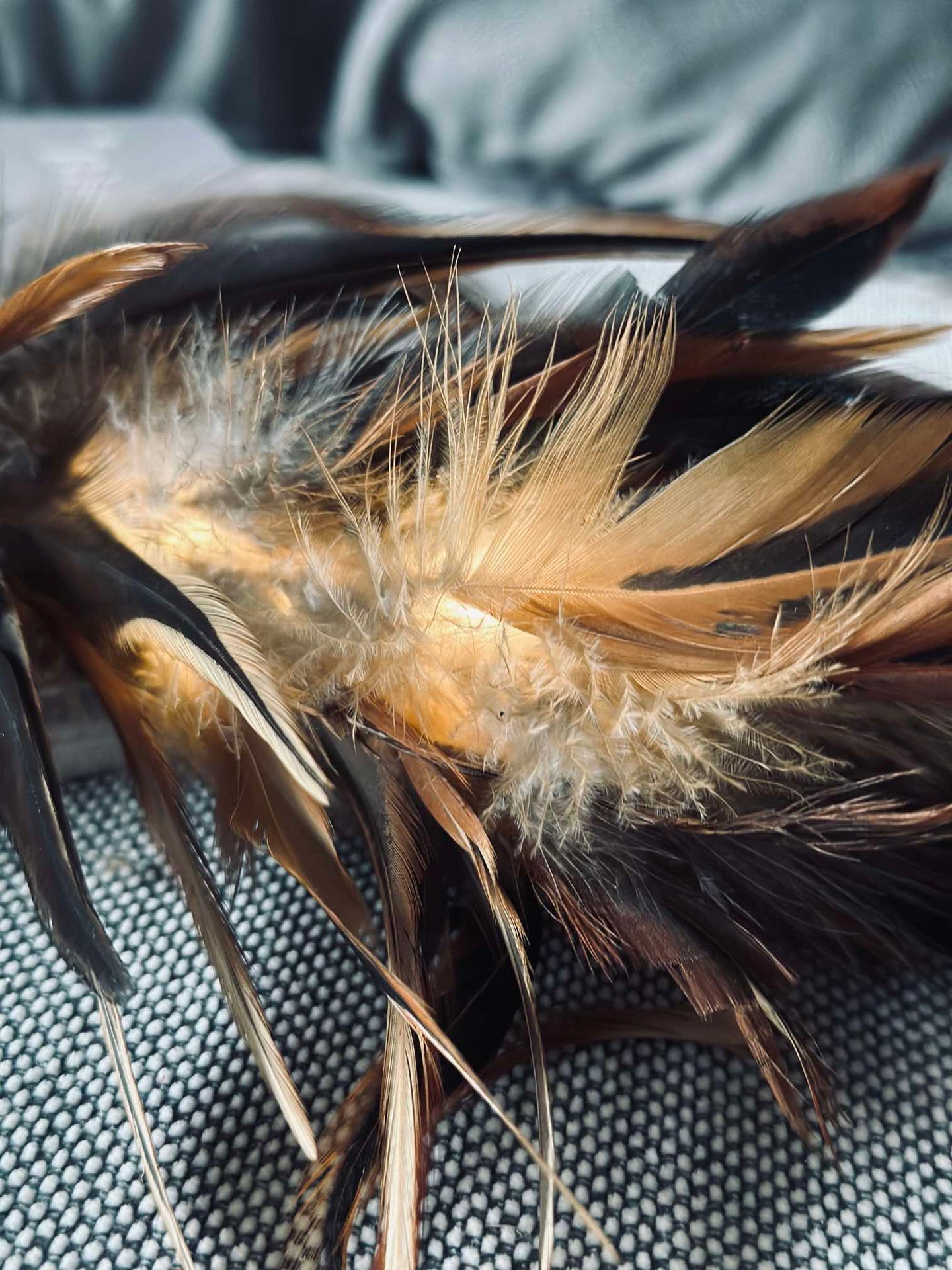 Fjäder med LED-ljus - 80 cm