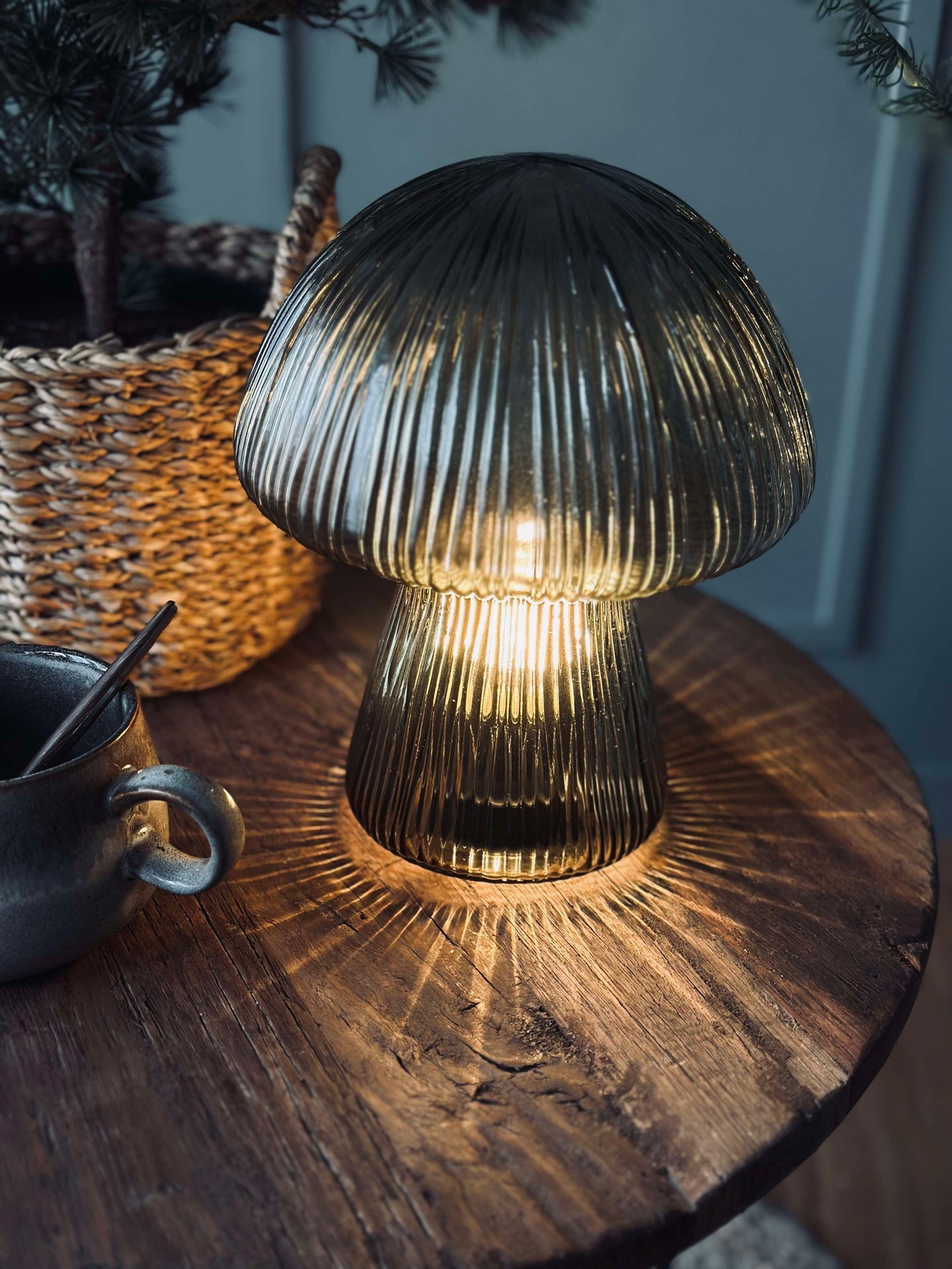 Svamp med räfflor - Grön