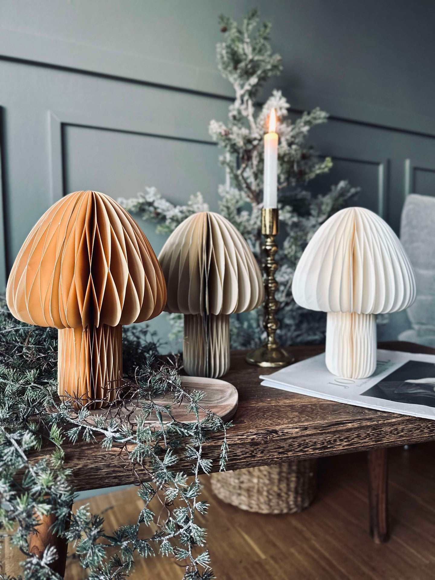 Mushroom No.2 - 1 st Medium - COLOR MIX