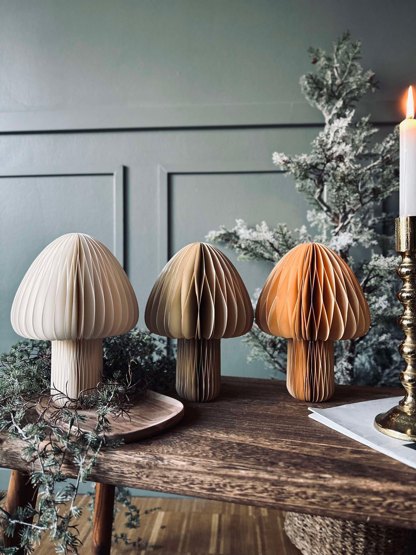 Mushroom No.2 - 1 st Medium - COLOR MIX